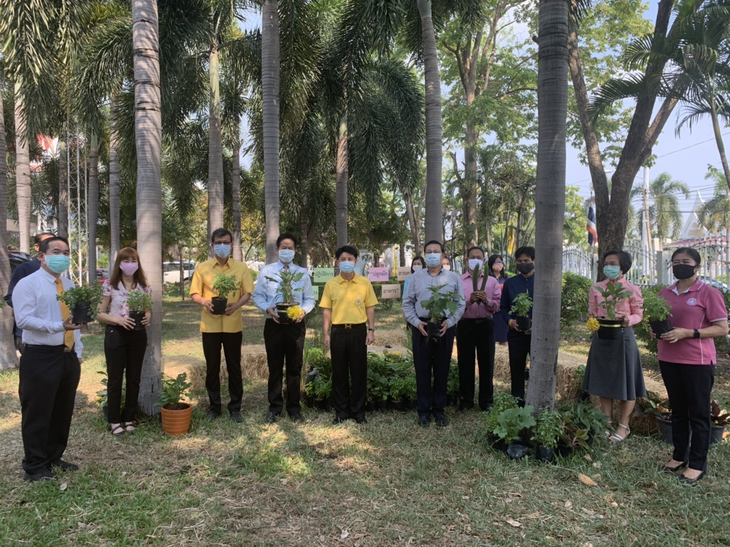 แผนปฏิบัติการ 90 วัน “ปลูกผักสวนครัว เพื่อสร้างความมั่นคงทางอาหาร” จังหวัดชลบุรี