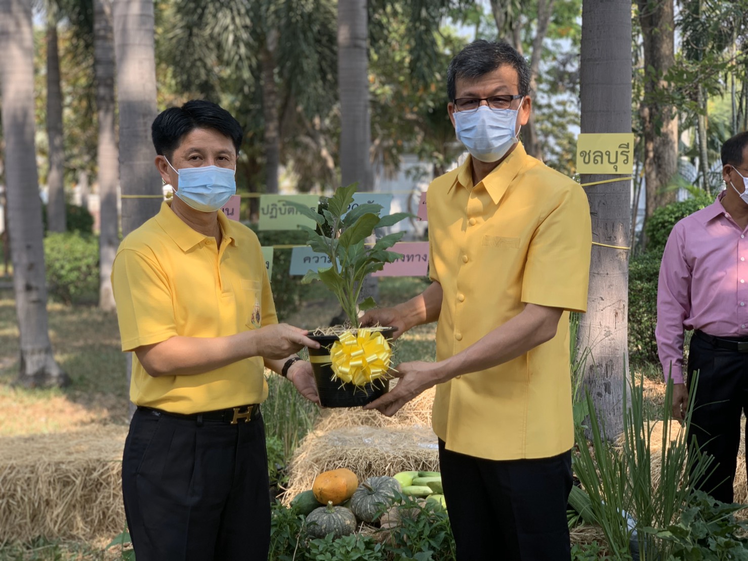 แผนปฏิบัติการ 90 วัน “ปลูกผักสวนครัว เพื่อสร้างความมั่นคงทางอาหาร” จังหวัดชลบุรี