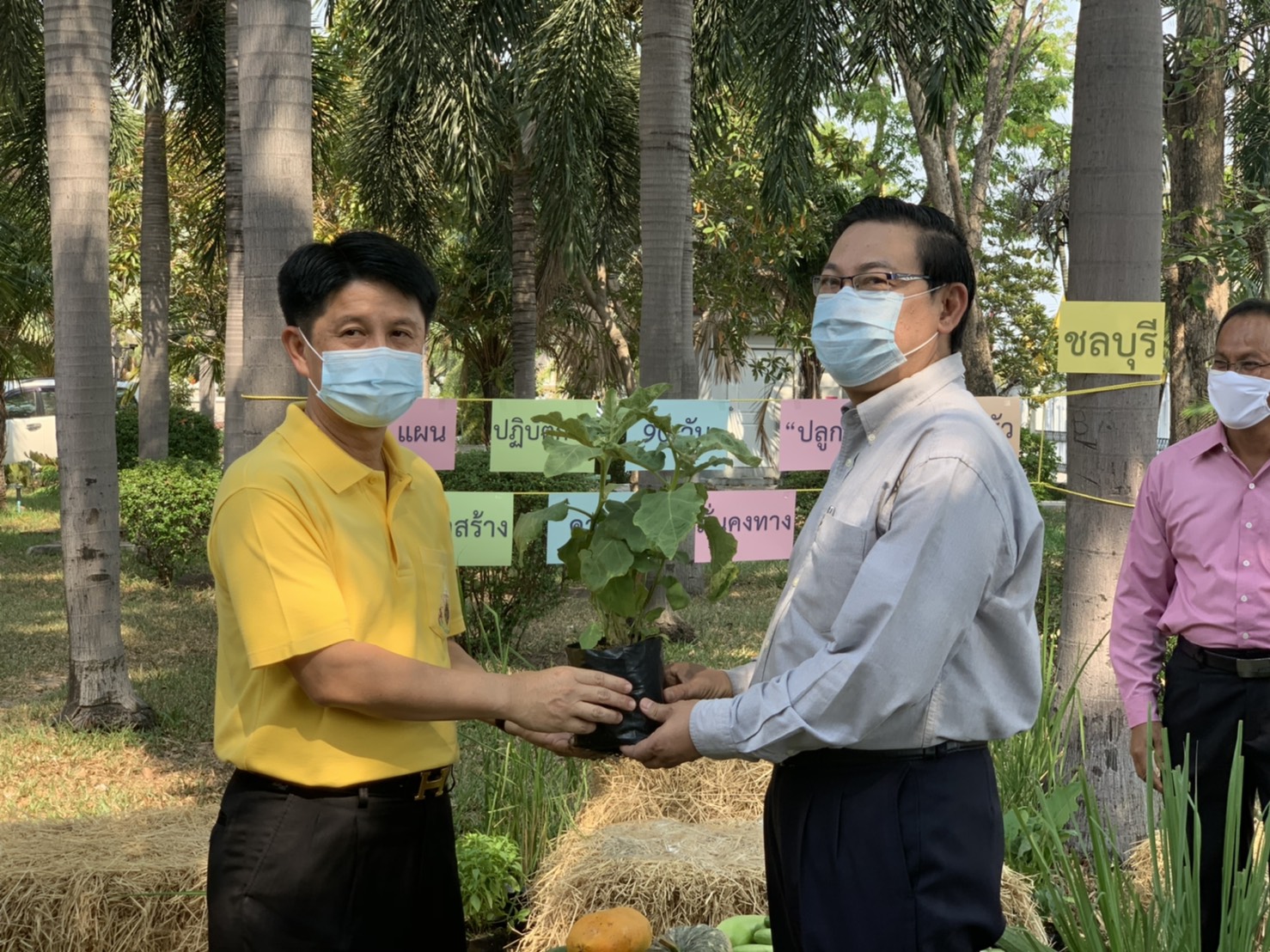 แผนปฏิบัติการ 90 วัน “ปลูกผักสวนครัว เพื่อสร้างความมั่นคงทางอาหาร” จังหวัดชลบุรี