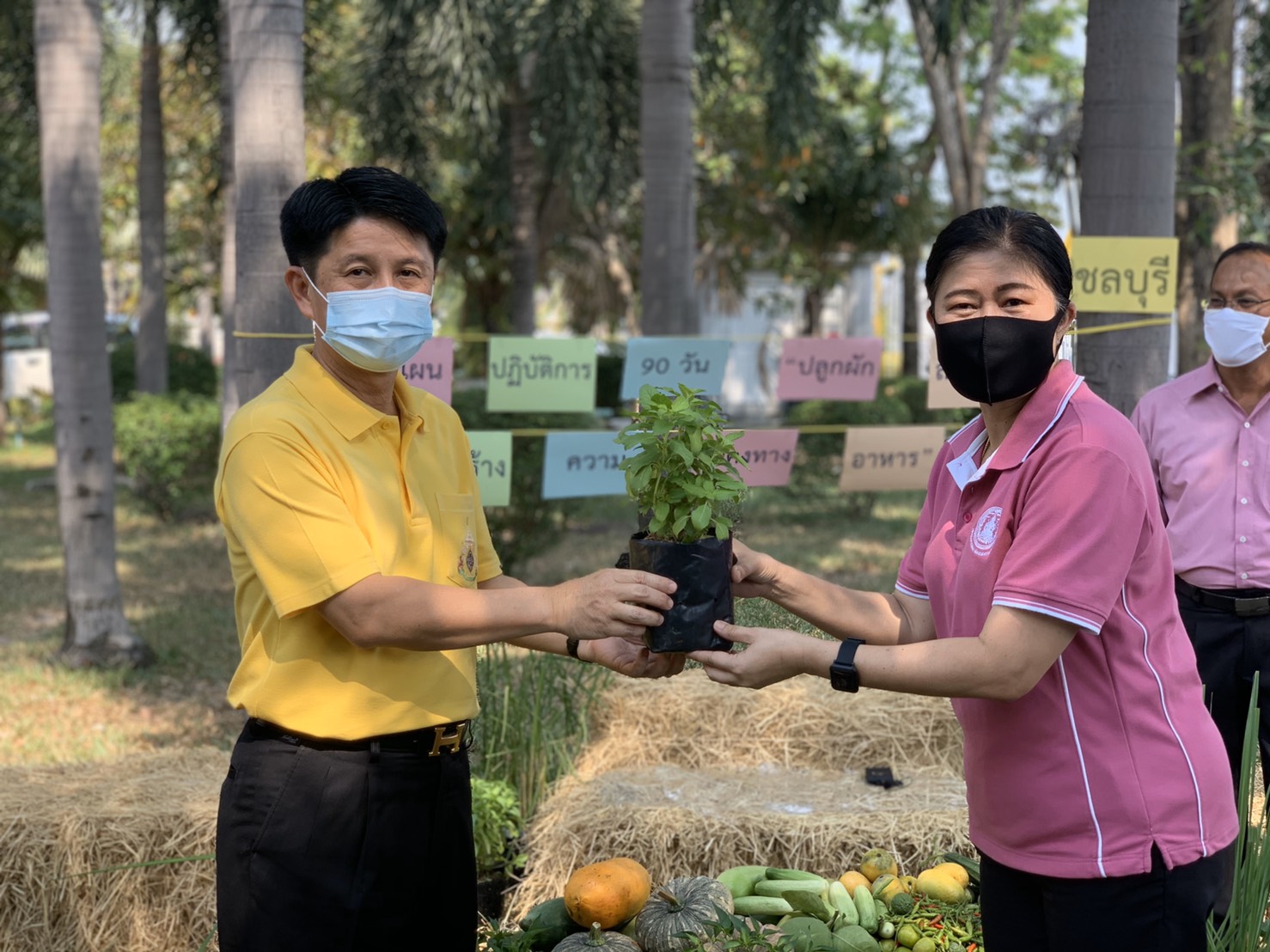 แผนปฏิบัติการ 90 วัน “ปลูกผักสวนครัว เพื่อสร้างความมั่นคงทางอาหาร” จังหวัดชลบุรี