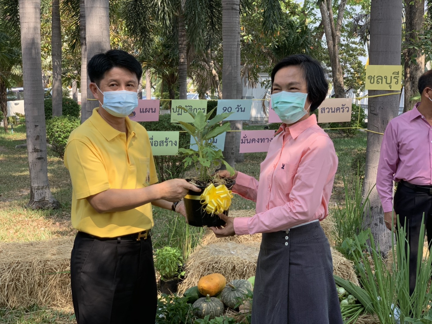 แผนปฏิบัติการ 90 วัน “ปลูกผักสวนครัว เพื่อสร้างความมั่นคงทางอาหาร” จังหวัดชลบุรี