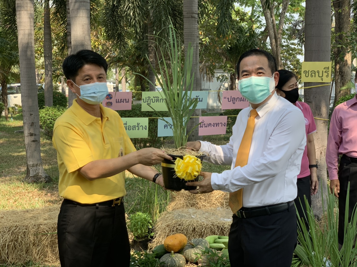 แผนปฏิบัติการ 90 วัน “ปลูกผักสวนครัว เพื่อสร้างความมั่นคงทางอาหาร” จังหวัดชลบุรี