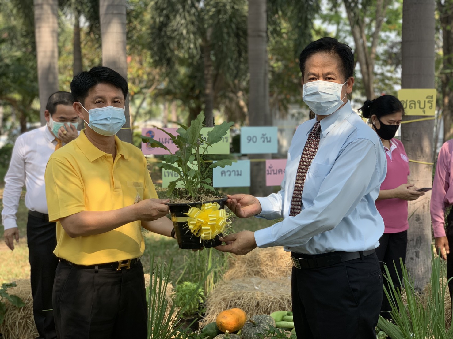 แผนปฏิบัติการ 90 วัน “ปลูกผักสวนครัว เพื่อสร้างความมั่นคงทางอาหาร” จังหวัดชลบุรี