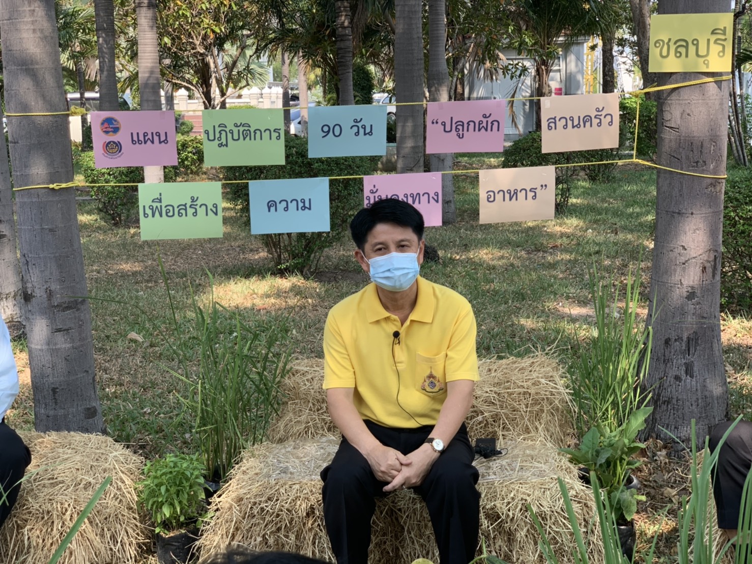 แผนปฏิบัติการ 90 วัน “ปลูกผักสวนครัว เพื่อสร้างความมั่นคงทางอาหาร” จังหวัดชลบุรี