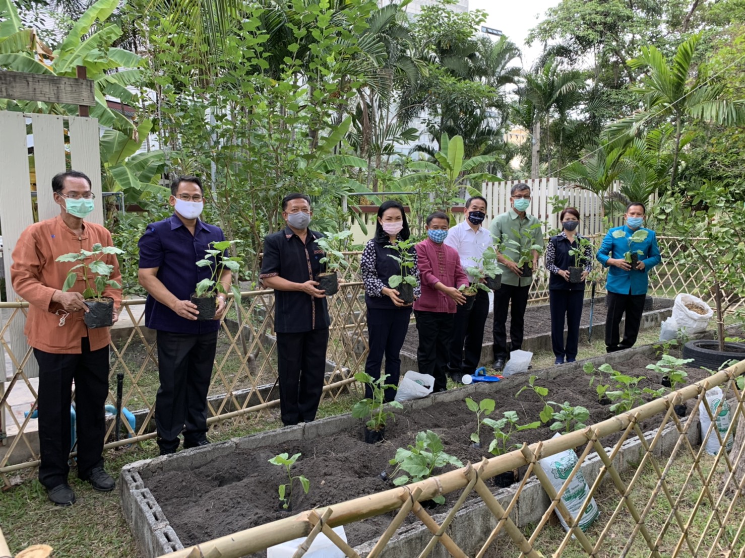 มปปฏิบัติการตามแผน 90 วัน ปลูกผักสวนครัว เพื่อสร้างความมั่นคงทางอาหาร สู้ไวรัสโคโรน่า 2019