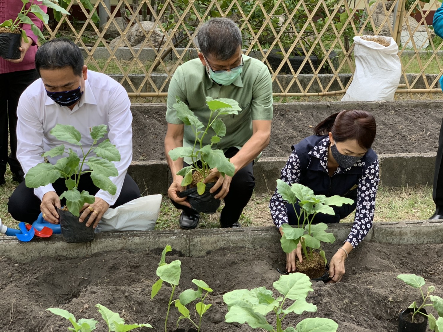 มปปฏิบัติการตามแผน 90 วัน ปลูกผักสวนครัว เพื่อสร้างความมั่นคงทางอาหาร สู้ไวรัสโคโรน่า 2019