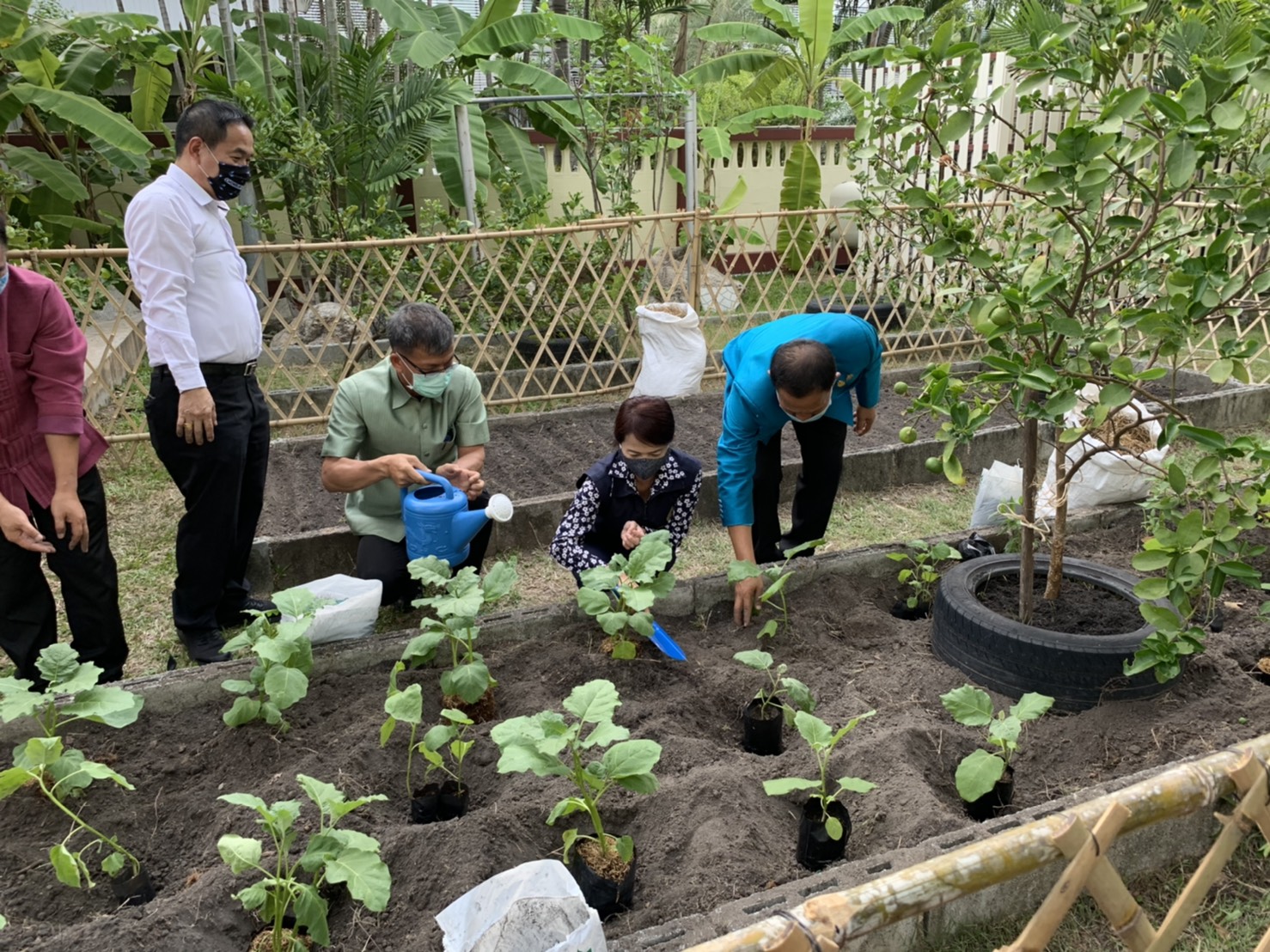 มปปฏิบัติการตามแผน 90 วัน ปลูกผักสวนครัว เพื่อสร้างความมั่นคงทางอาหาร สู้ไวรัสโคโรน่า 2019