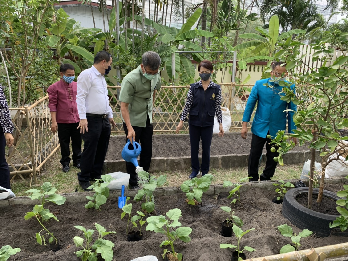 มปปฏิบัติการตามแผน 90 วัน ปลูกผักสวนครัว เพื่อสร้างความมั่นคงทางอาหาร สู้ไวรัสโคโรน่า 2019