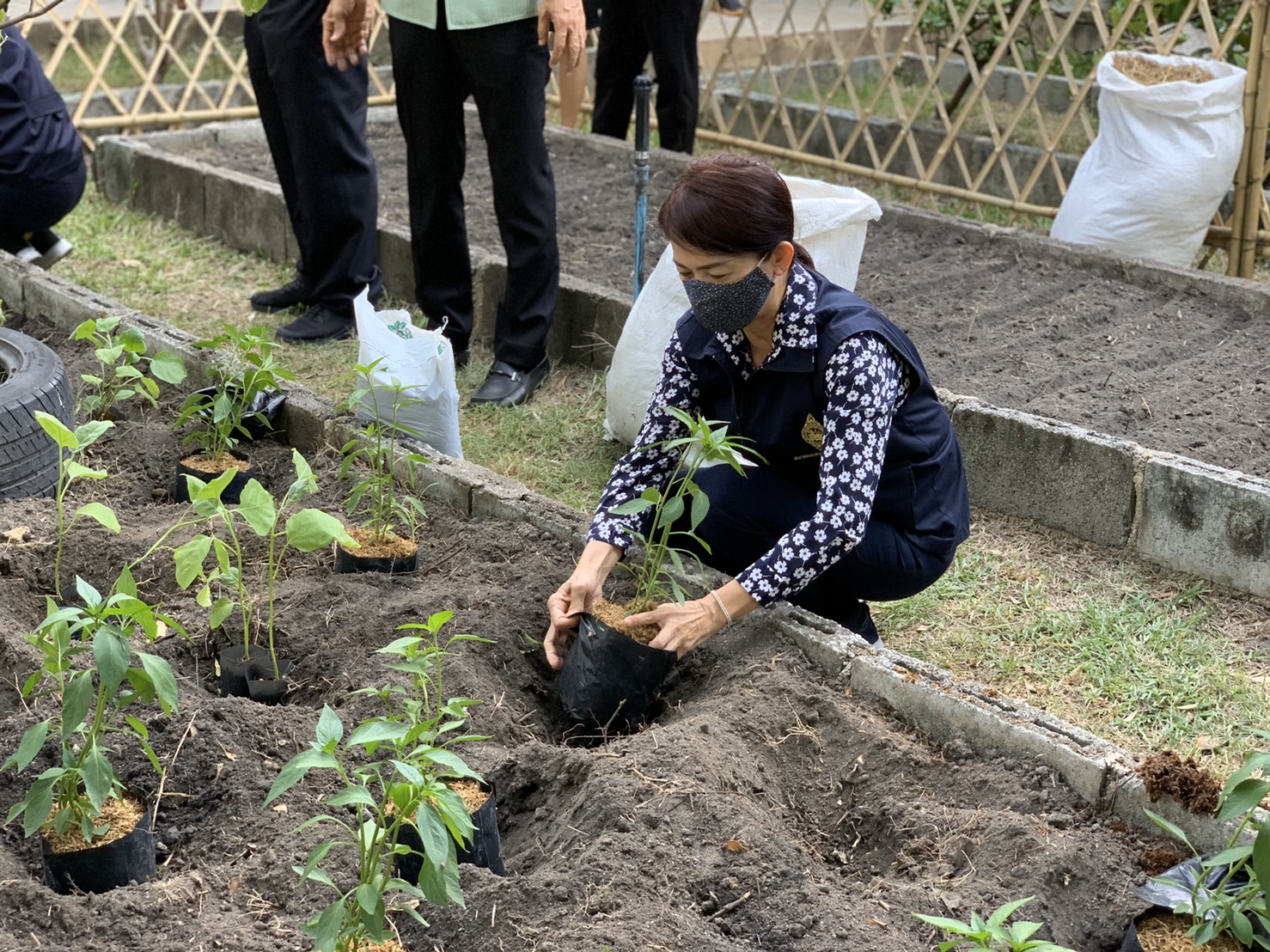 มปปฏิบัติการตามแผน 90 วัน ปลูกผักสวนครัว เพื่อสร้างความมั่นคงทางอาหาร สู้ไวรัสโคโรน่า 2019