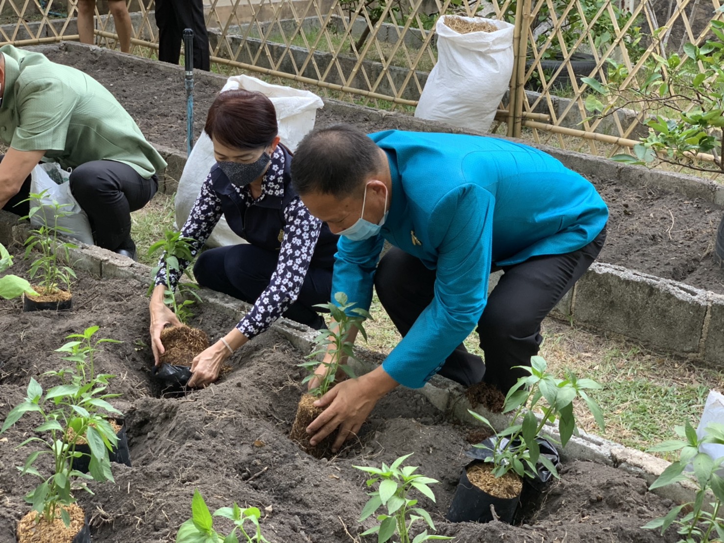 มปปฏิบัติการตามแผน 90 วัน ปลูกผักสวนครัว เพื่อสร้างความมั่นคงทางอาหาร สู้ไวรัสโคโรน่า 2019