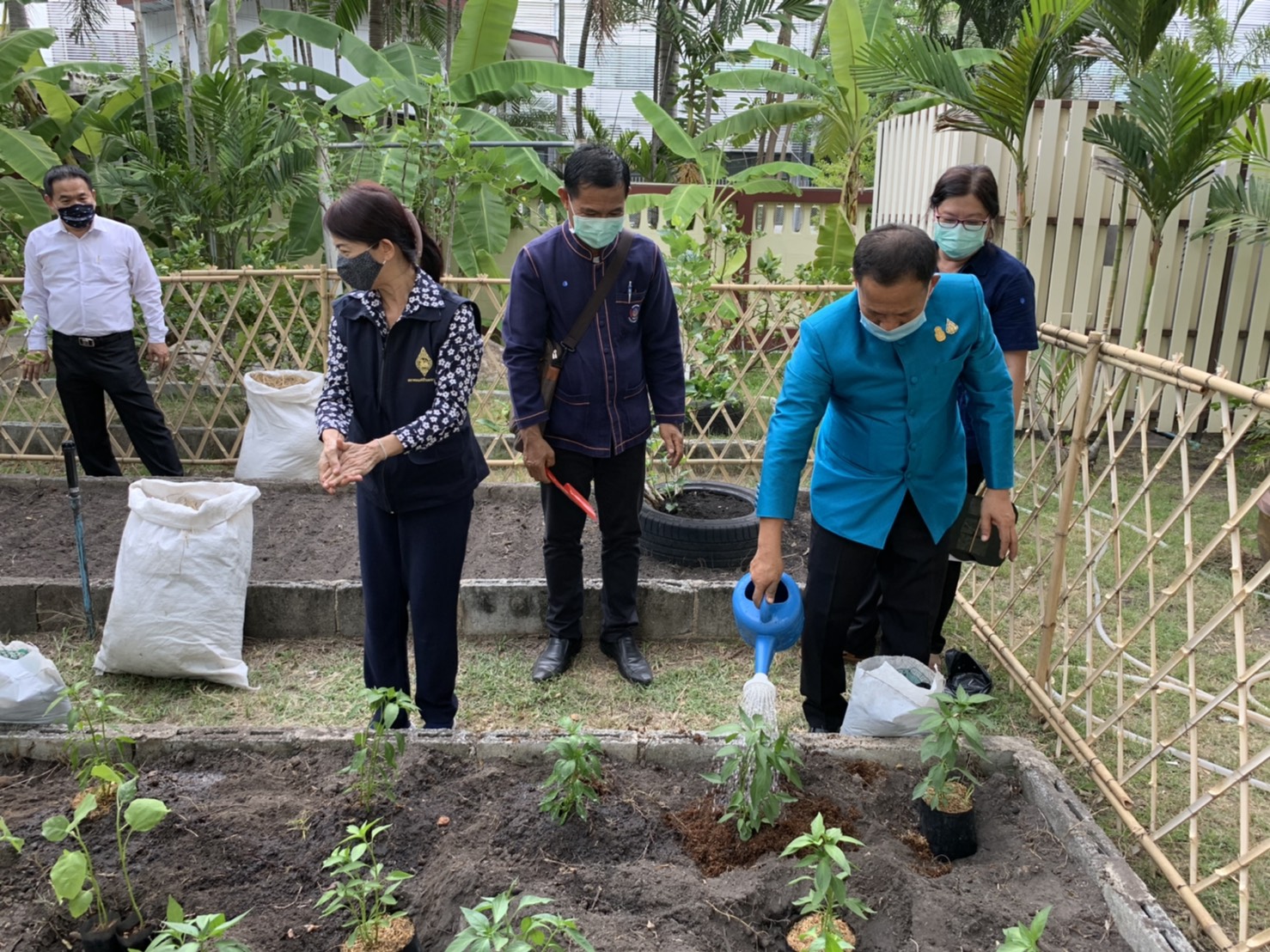 มปปฏิบัติการตามแผน 90 วัน ปลูกผักสวนครัว เพื่อสร้างความมั่นคงทางอาหาร สู้ไวรัสโคโรน่า 2019