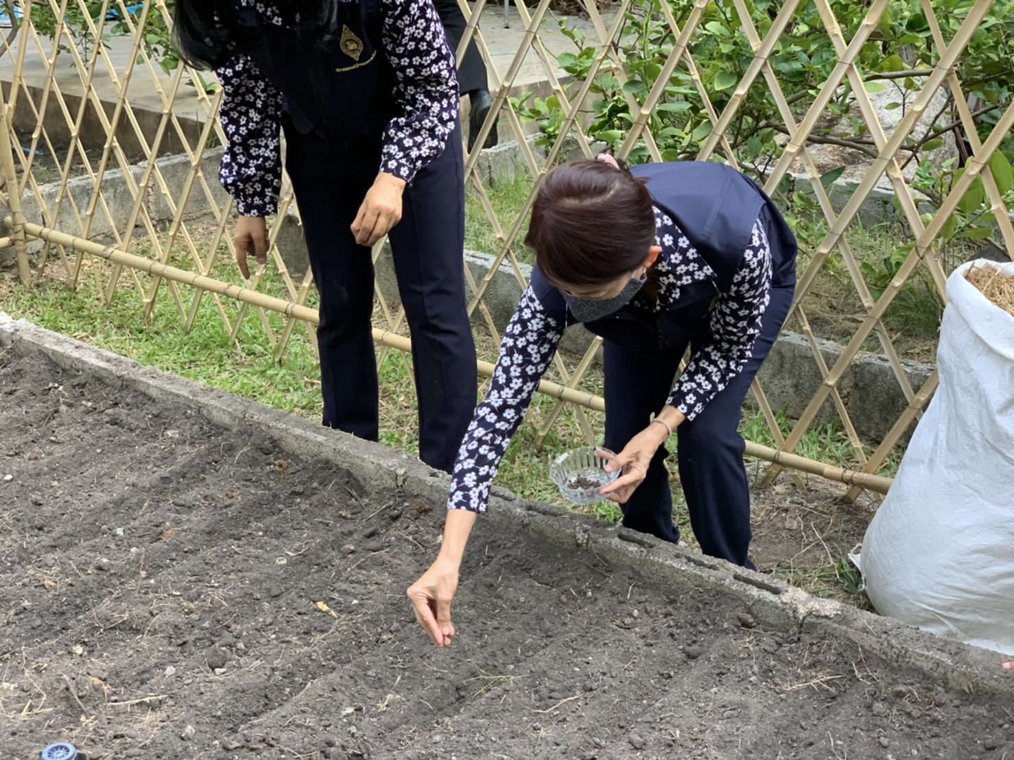 มปปฏิบัติการตามแผน 90 วัน ปลูกผักสวนครัว เพื่อสร้างความมั่นคงทางอาหาร สู้ไวรัสโคโรน่า 2019