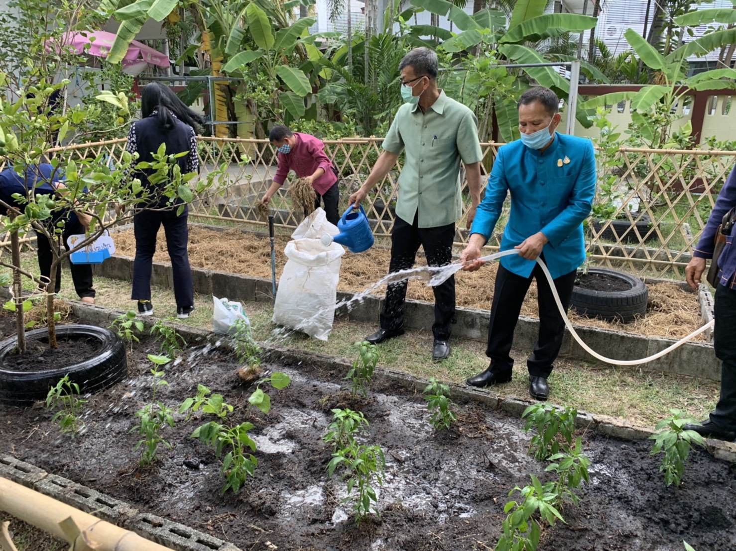 มปปฏิบัติการตามแผน 90 วัน ปลูกผักสวนครัว เพื่อสร้างความมั่นคงทางอาหาร สู้ไวรัสโคโรน่า 2019