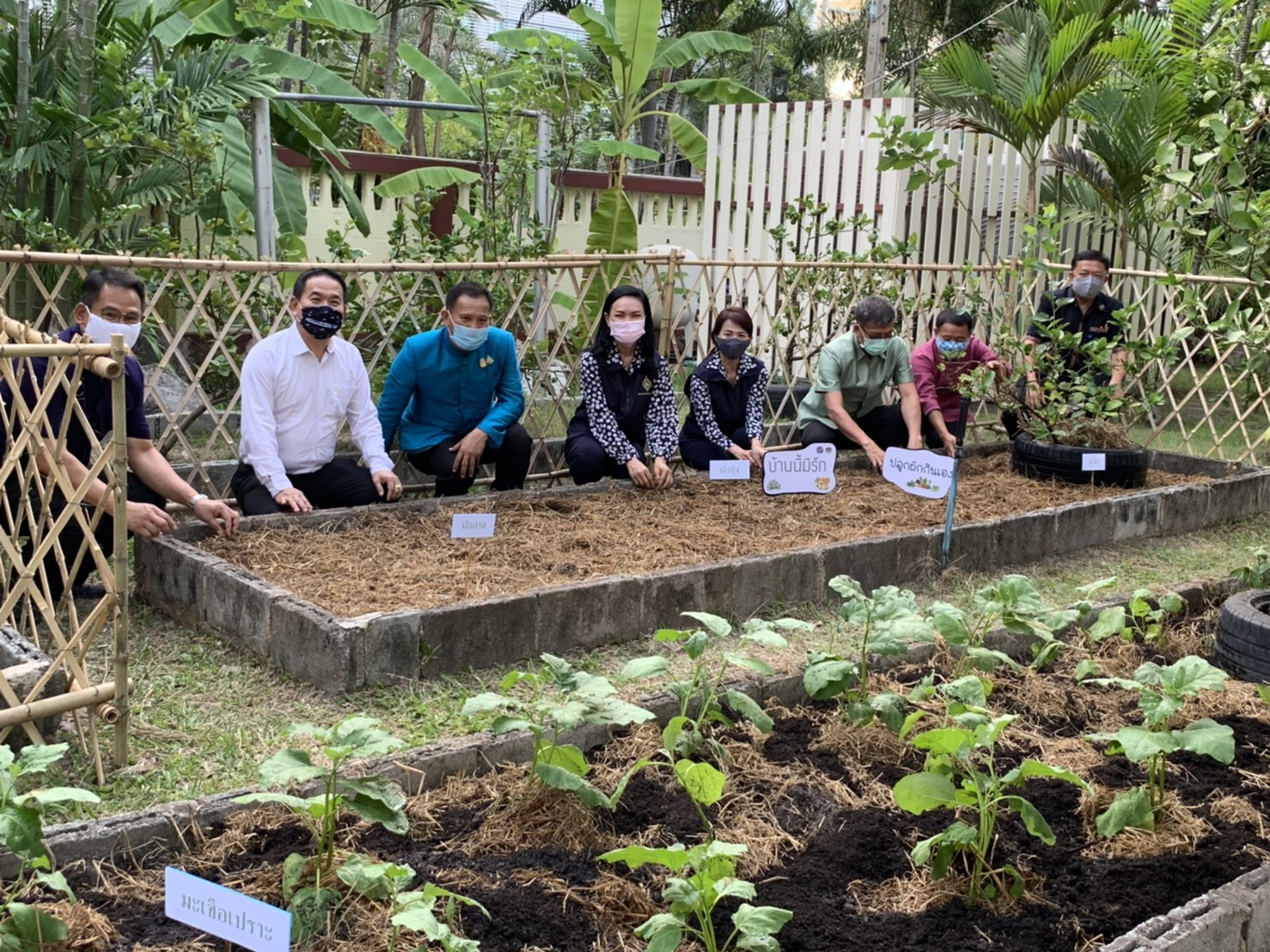 มปปฏิบัติการตามแผน 90 วัน ปลูกผักสวนครัว เพื่อสร้างความมั่นคงทางอาหาร สู้ไวรัสโคโรน่า 2019