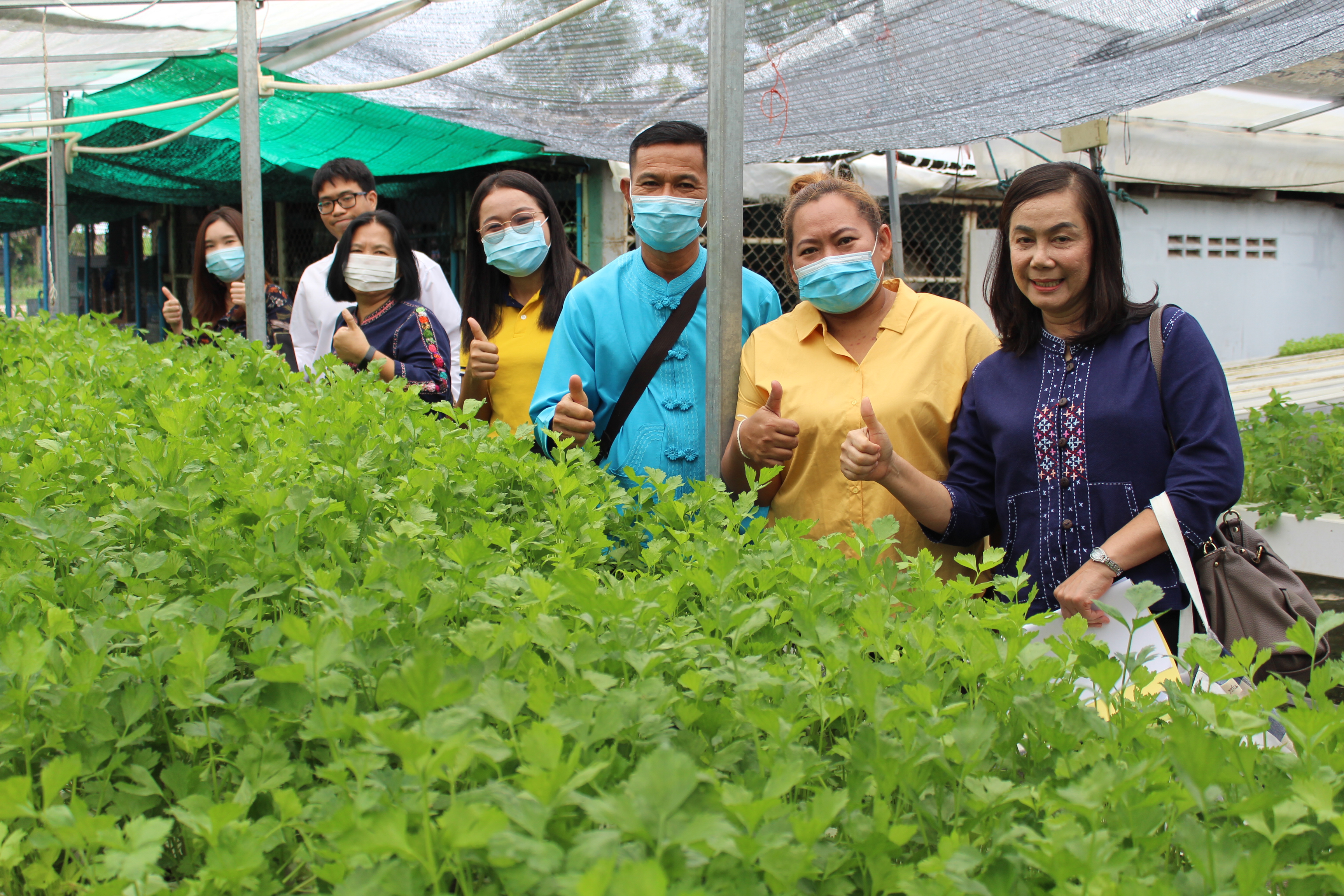 คัดเลือกสตรีต้นแบบด้านการปลูกพืชผักสวนครัว