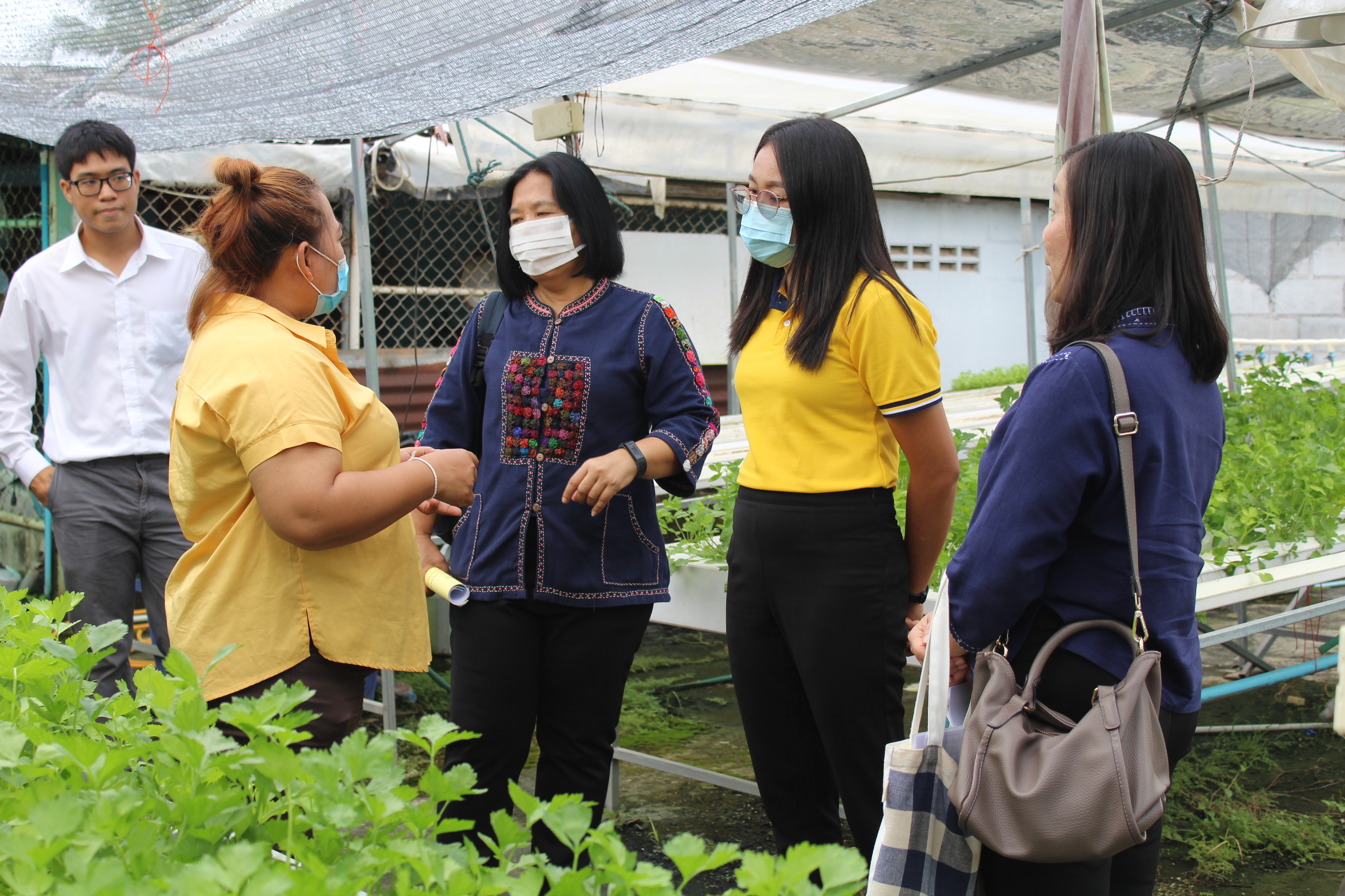 คัดเลือกสตรีต้นแบบด้านการปลูกพืชผักสวนครัว