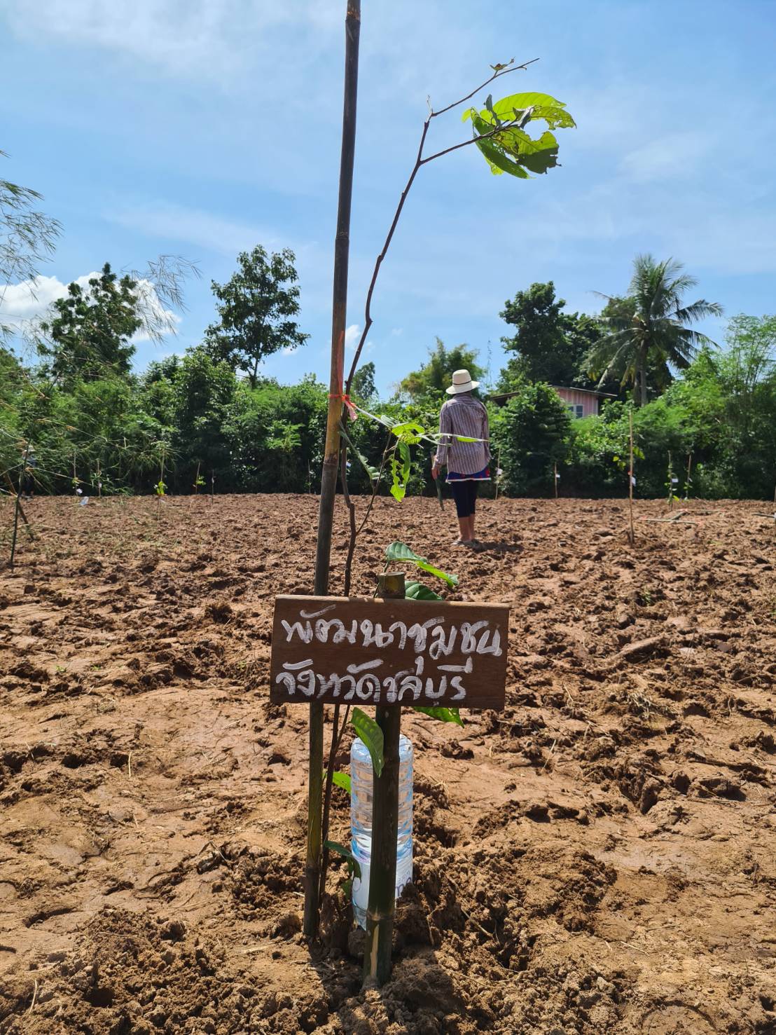 เปิดโครงการชุมชนสีเขียวบ้านตม