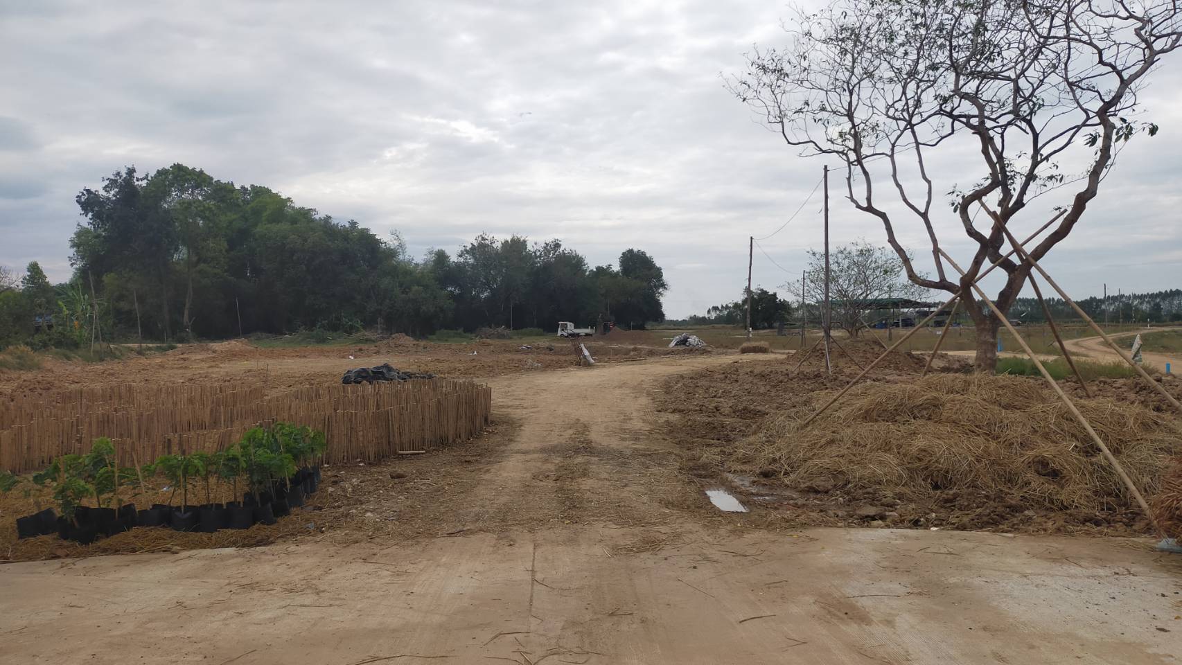 พจ.ชลบุรี ลงพื้นที่ติดตามโครงการ “โคก หนอง นา โมเดล” อ.พนัสนิคม