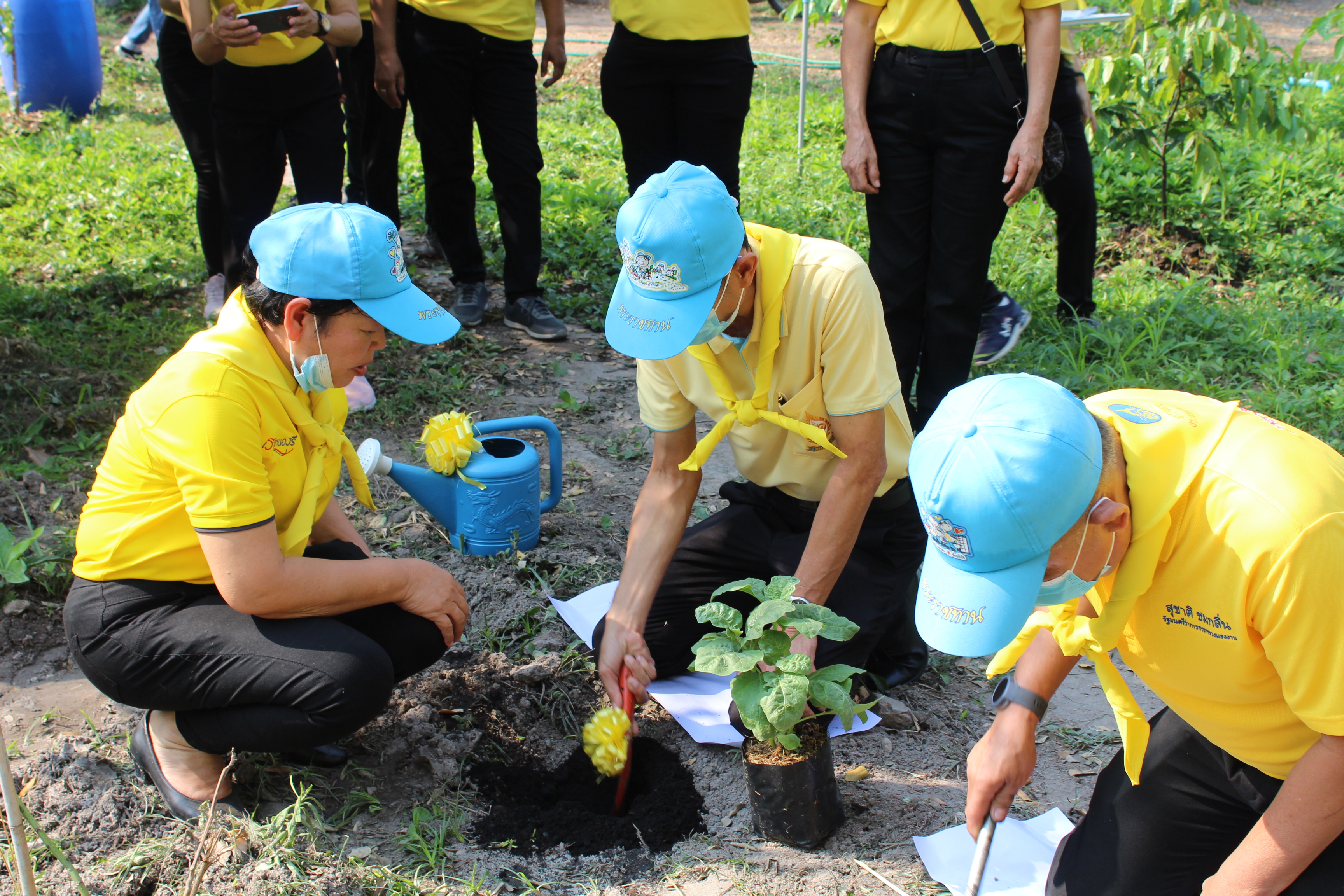 พช.ชลบุรี KICK OFF ปฏิบัติการ 90 วัน ปลูกผักสวนครัวเพื่อสร้างความมั่นคงทางอาหาร รอบ 2
