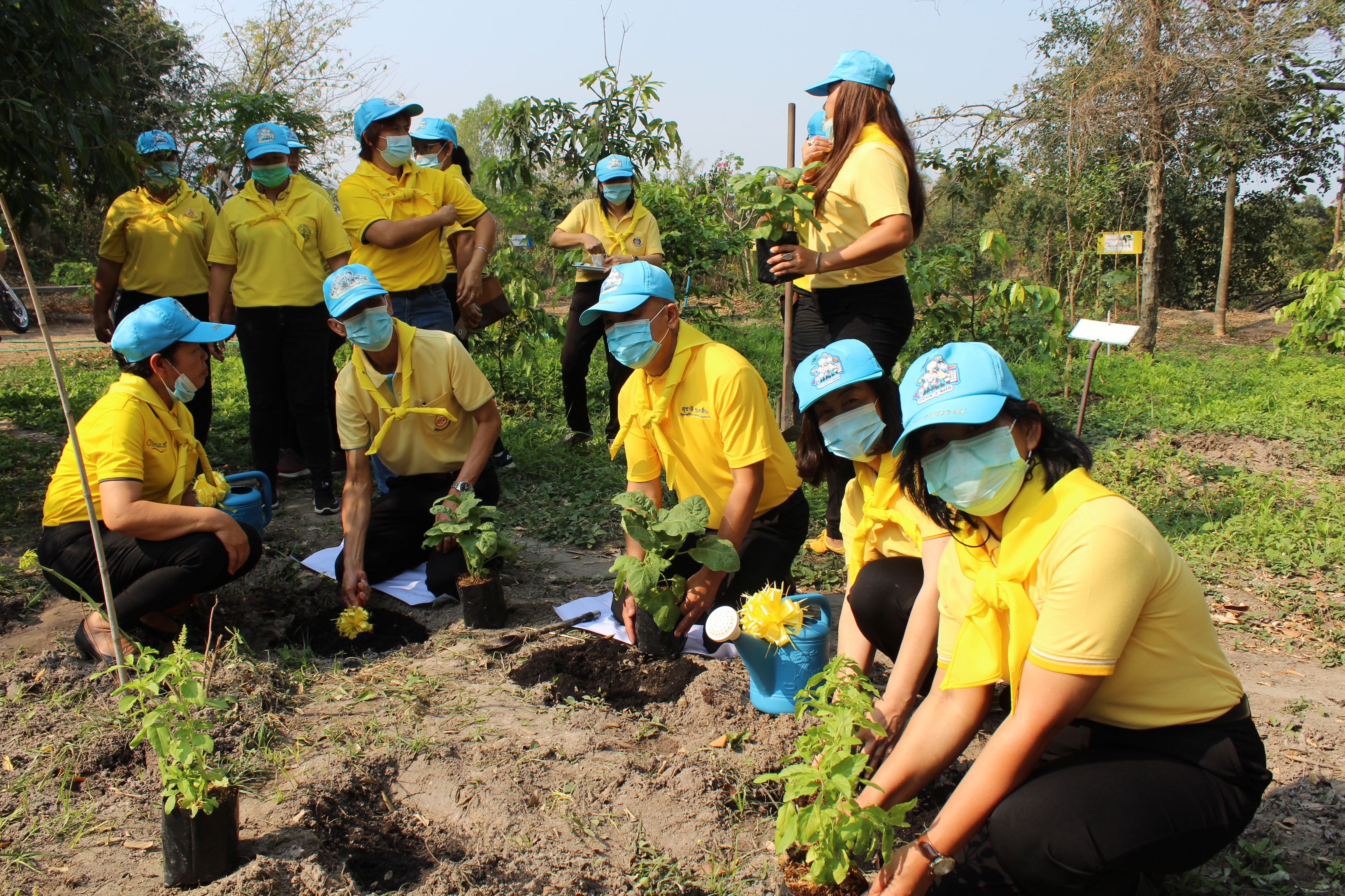 พช.ชลบุรี KICK OFF ปฏิบัติการ 90 วัน ปลูกผักสวนครัวเพื่อสร้างความมั่นคงทางอาหาร รอบ 2