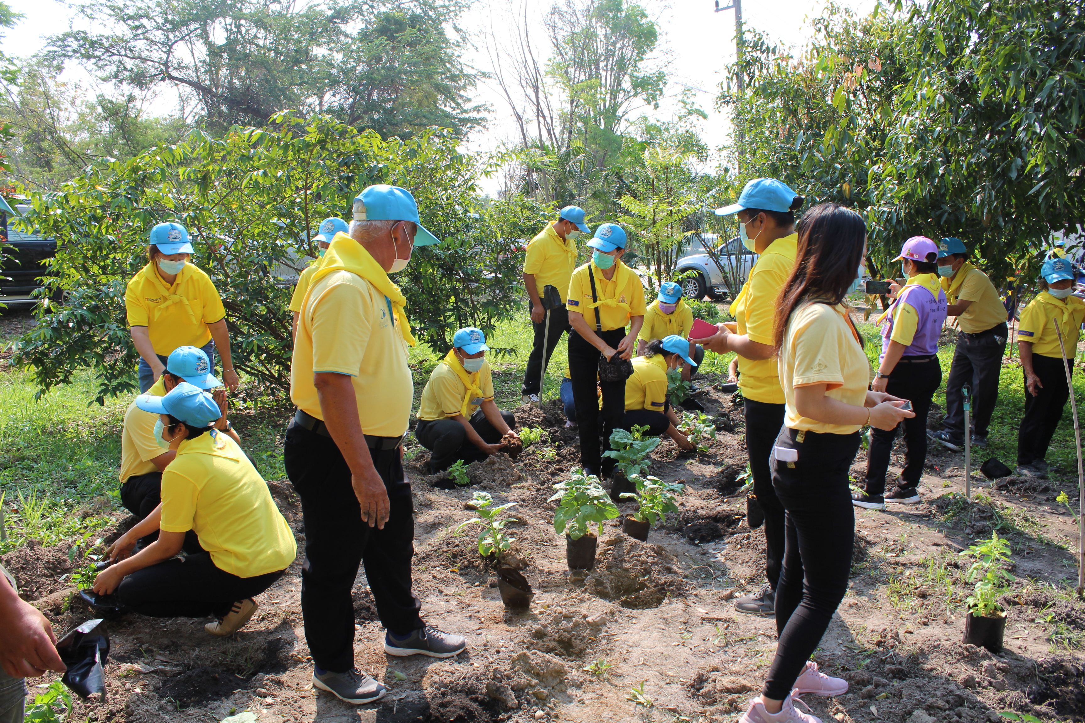 พช.ชลบุรี KICK OFF ปฏิบัติการ 90 วัน ปลูกผักสวนครัวเพื่อสร้างความมั่นคงทางอาหาร รอบ 2