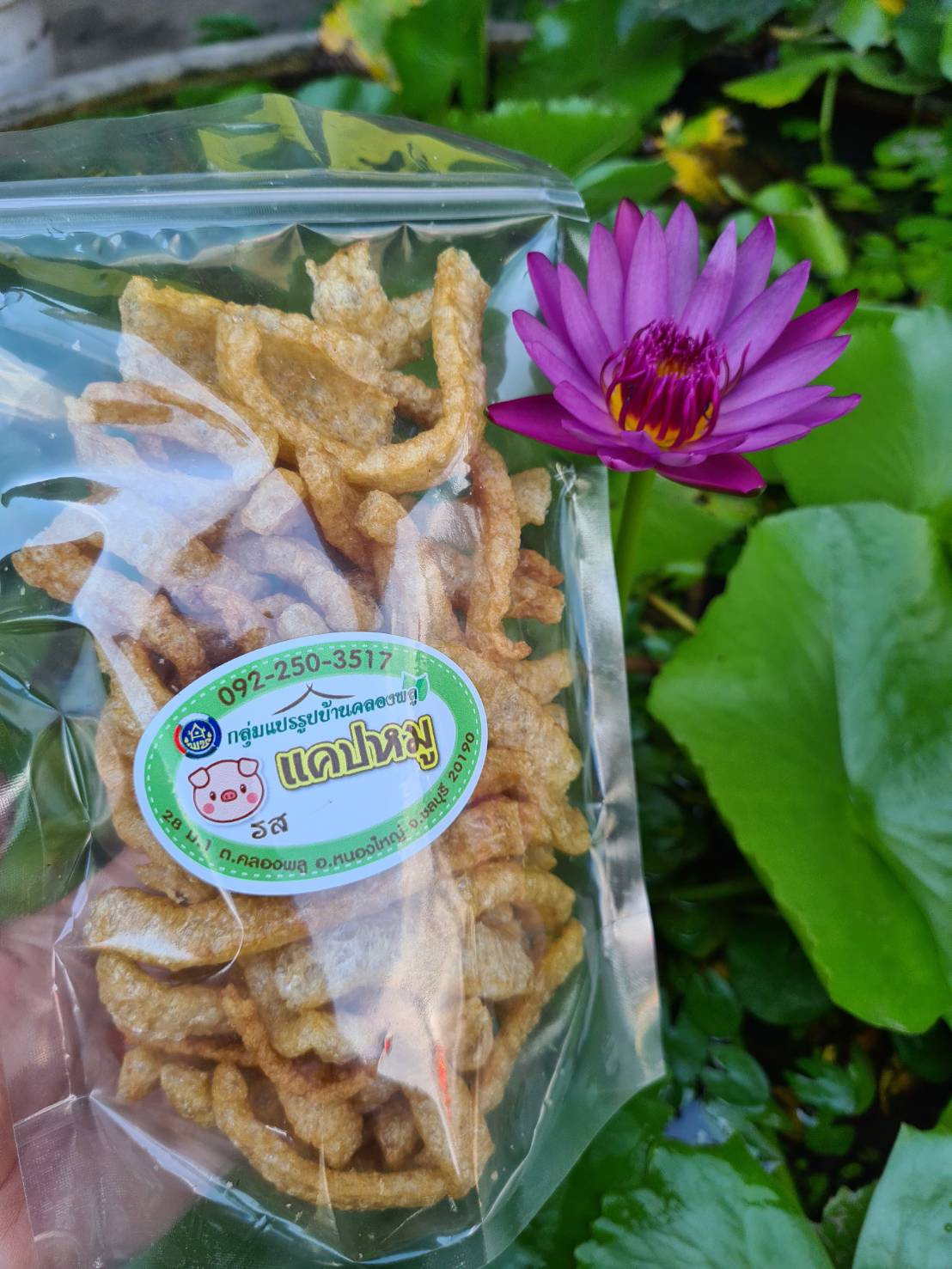 สพจ.ชลบุรี ลงพื้นที่ติดตาม​และสนับสนุนผู้ผลิต​ ผู้ประกอบการ OTOP​ สู่ยุค 4.0