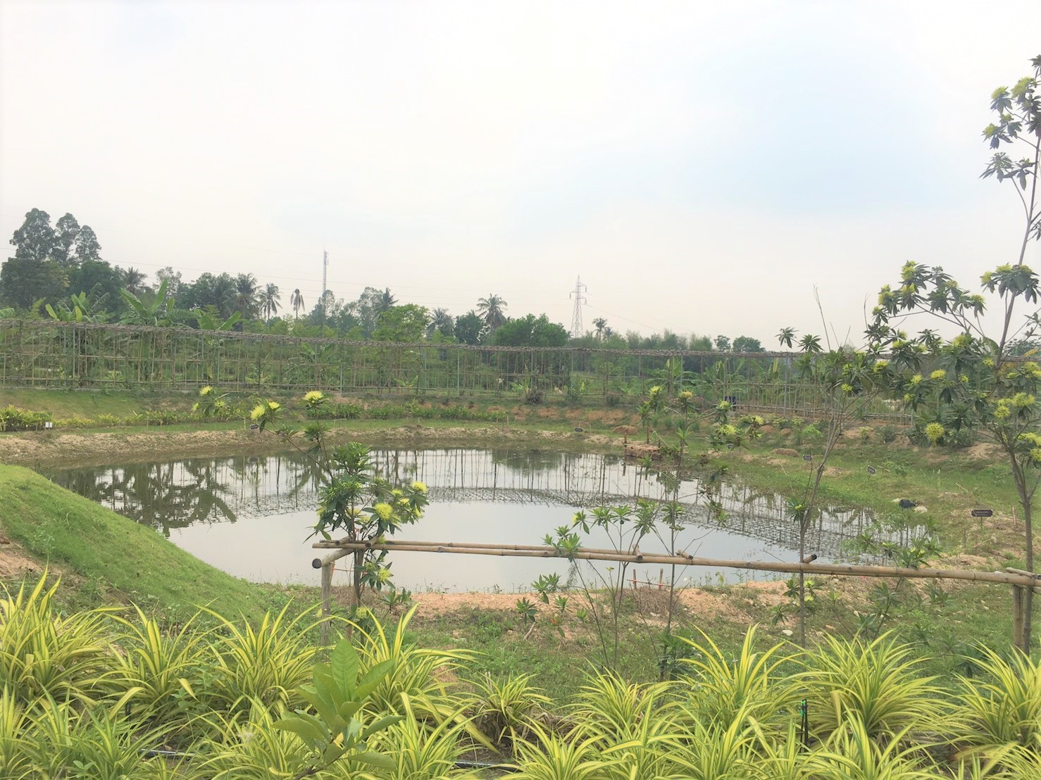 รองอธิบดี พช. ลงพื้นที่เยี่ยมชม “โคก หนอง นา โมเดล” อ.ศรีราชา จ.ชลบุรี