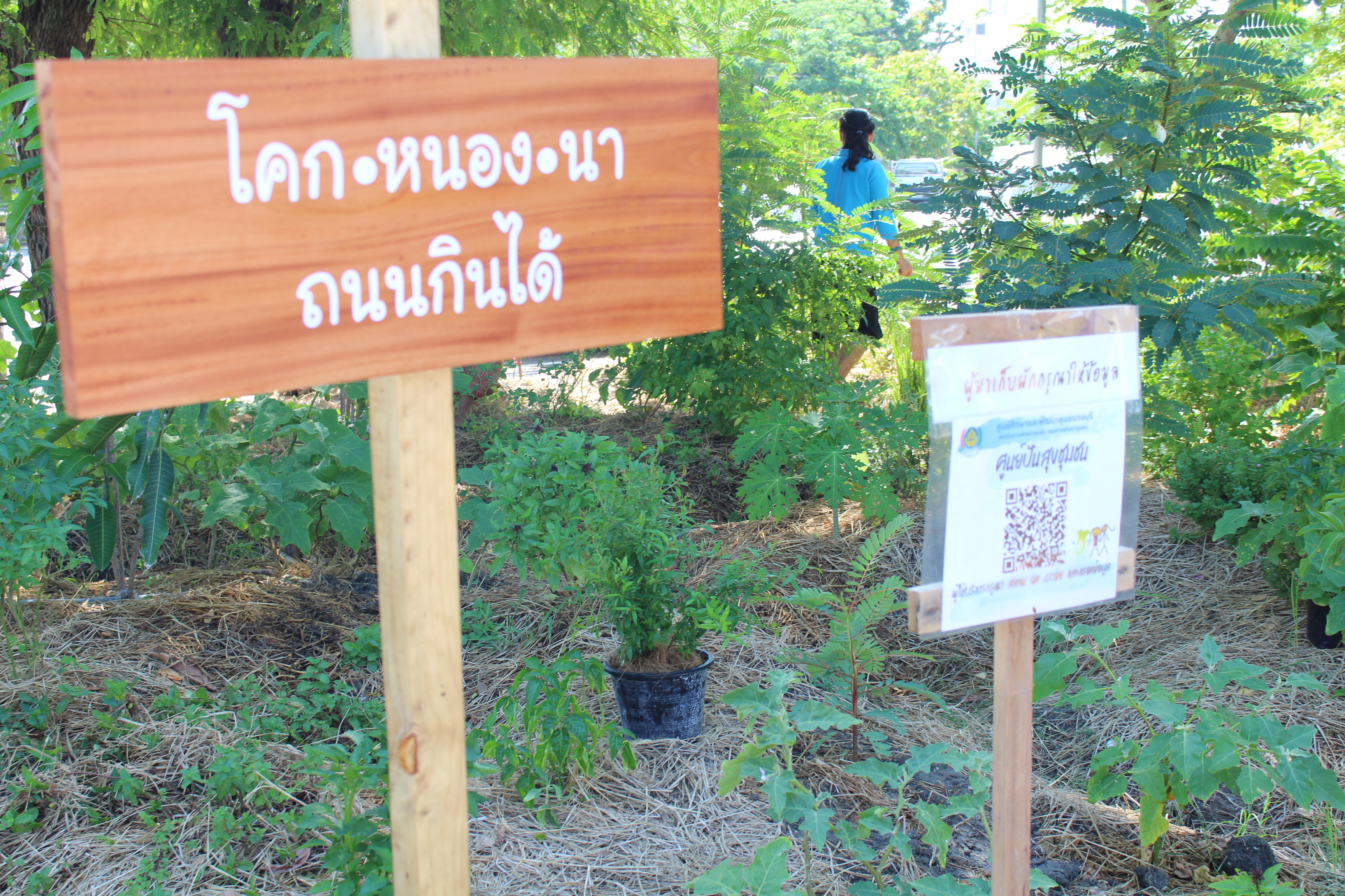 รอง อพช. เปิดป้ายโครงการถนนกินได้ และศูนย์ปันสุขชุมชน ศพช.ชลบุรี