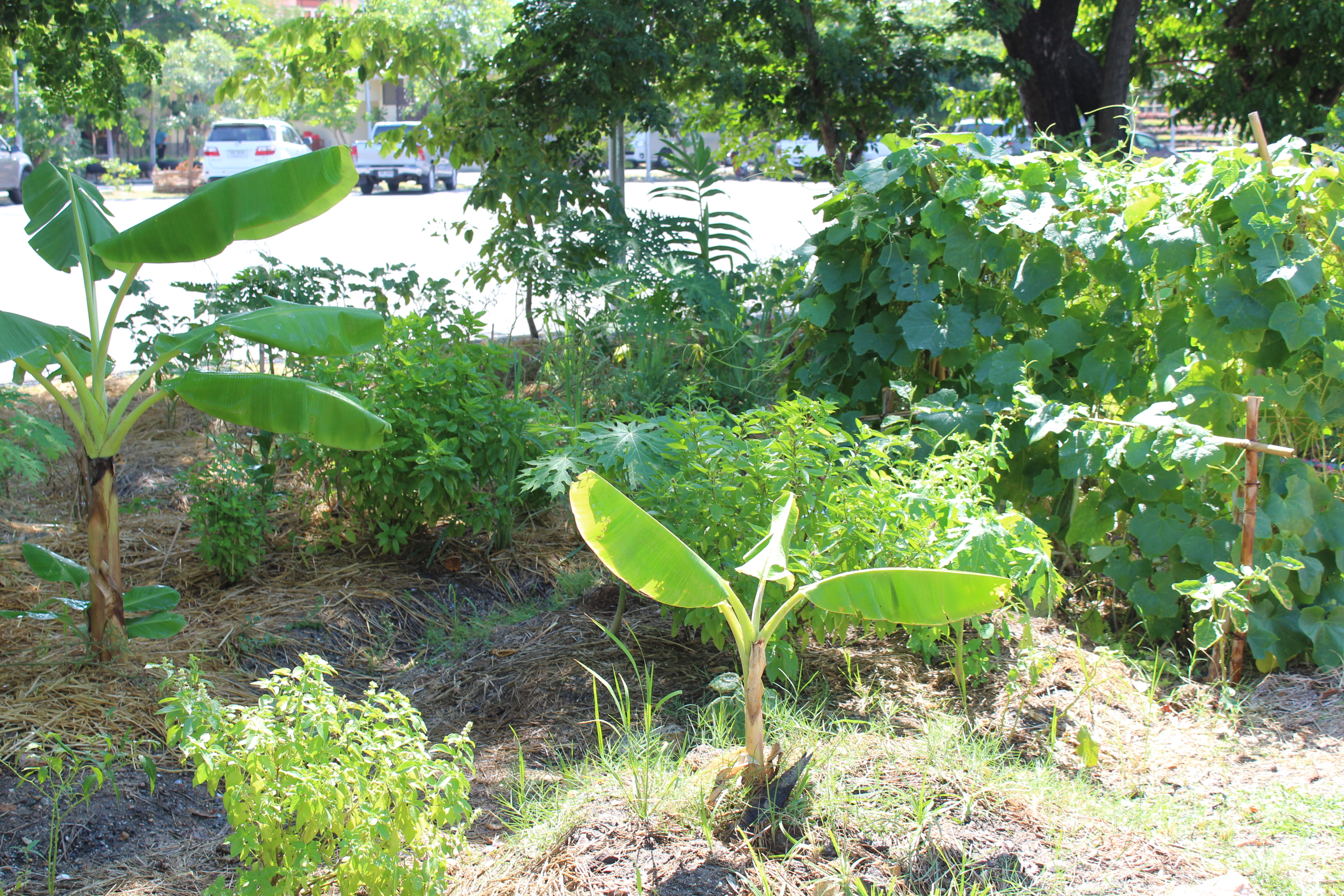รอง อพช. เปิดป้ายโครงการถนนกินได้ และศูนย์ปันสุขชุมชน ศพช.ชลบุรี