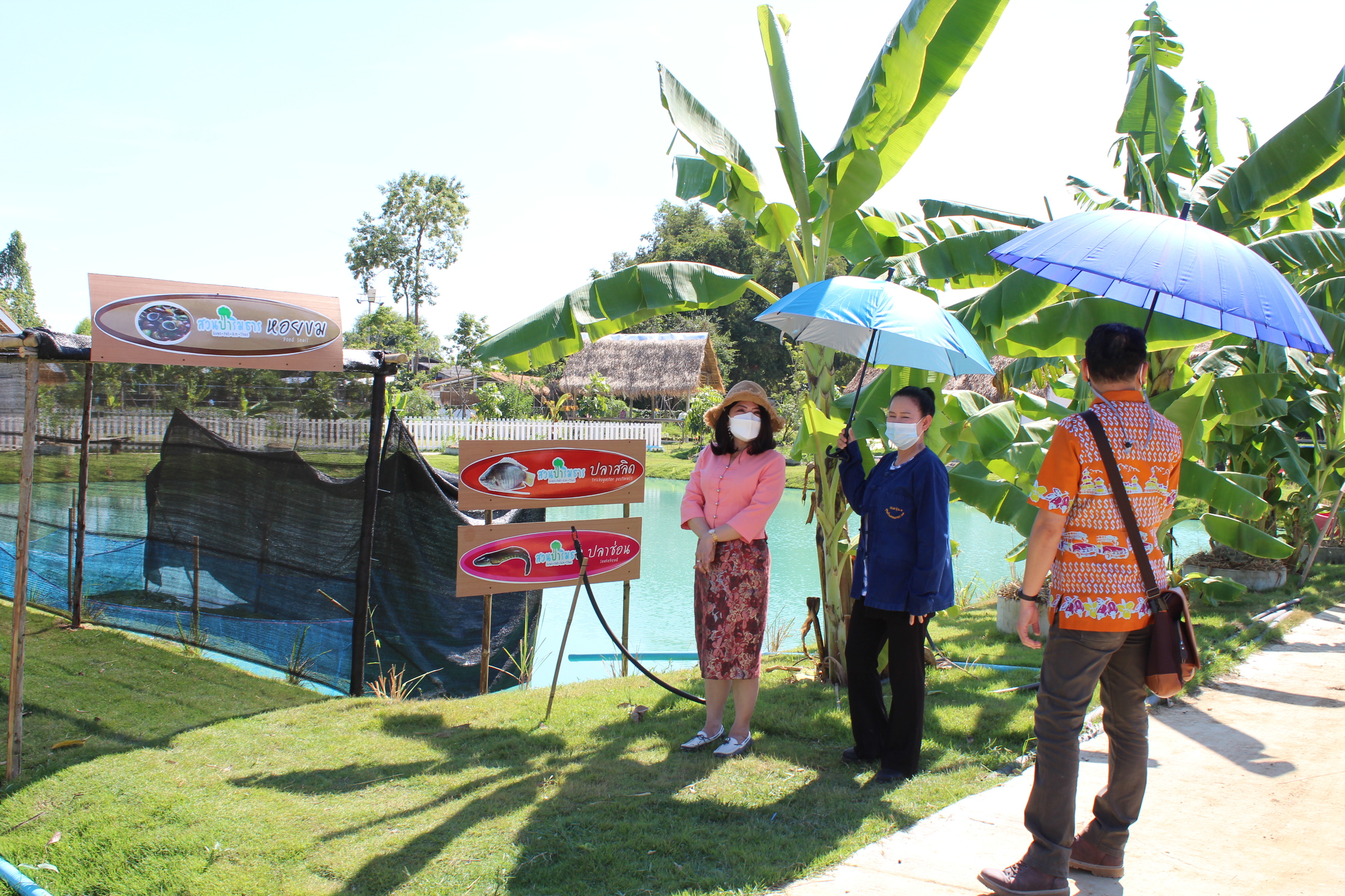 การประชุมติดตามประเด็นการตรวจราชการของผู้ตรวจราชการกรมการพัฒนาชุมชน ประจำเดือนธันวาคม 2564