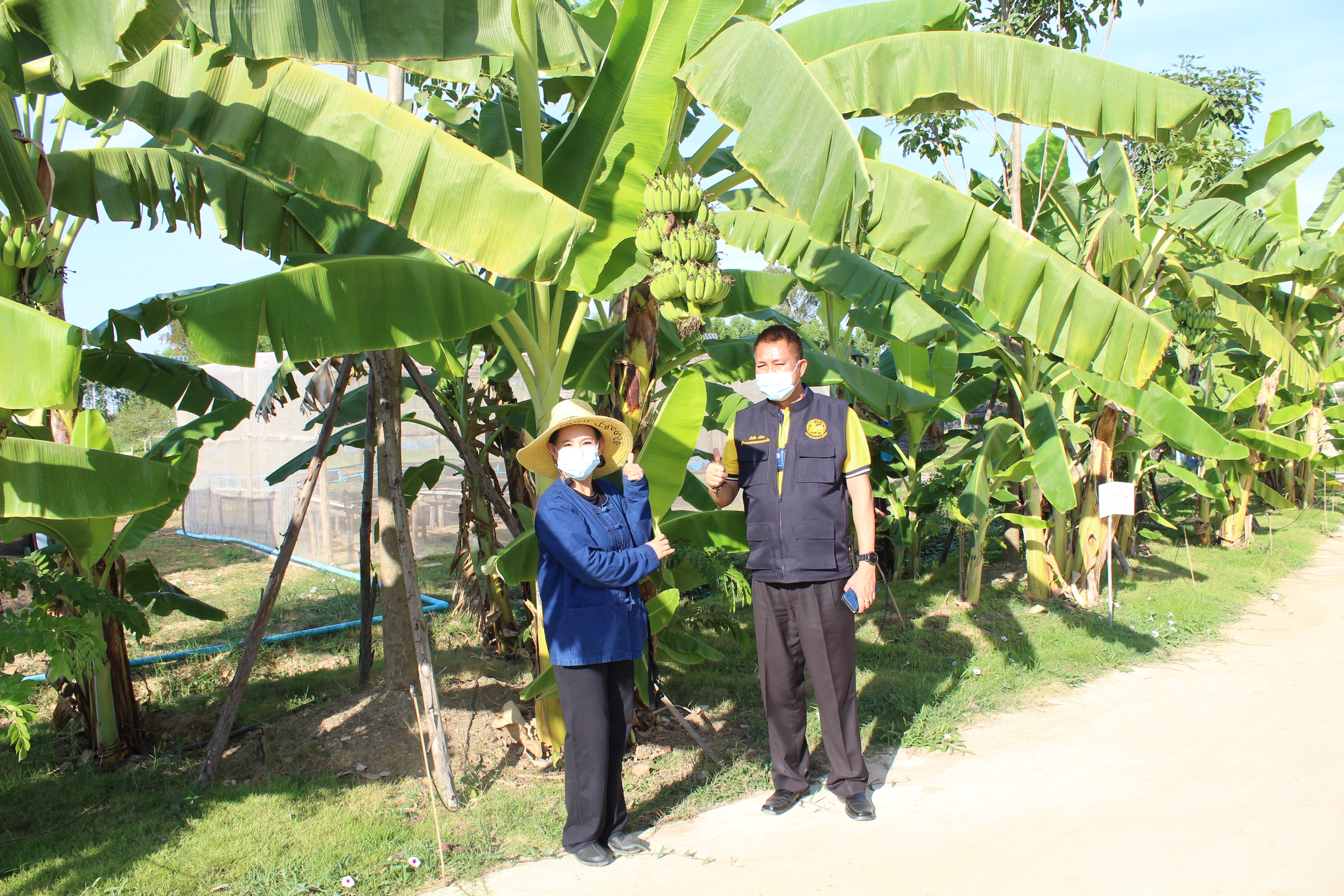 ผู้ตรวจราชการกระทรวงมหาดไทย ลงพื้นที่ตรวจเยี่ยม “โคก หนอง นา โมเดล” อ.พนัสนิคม