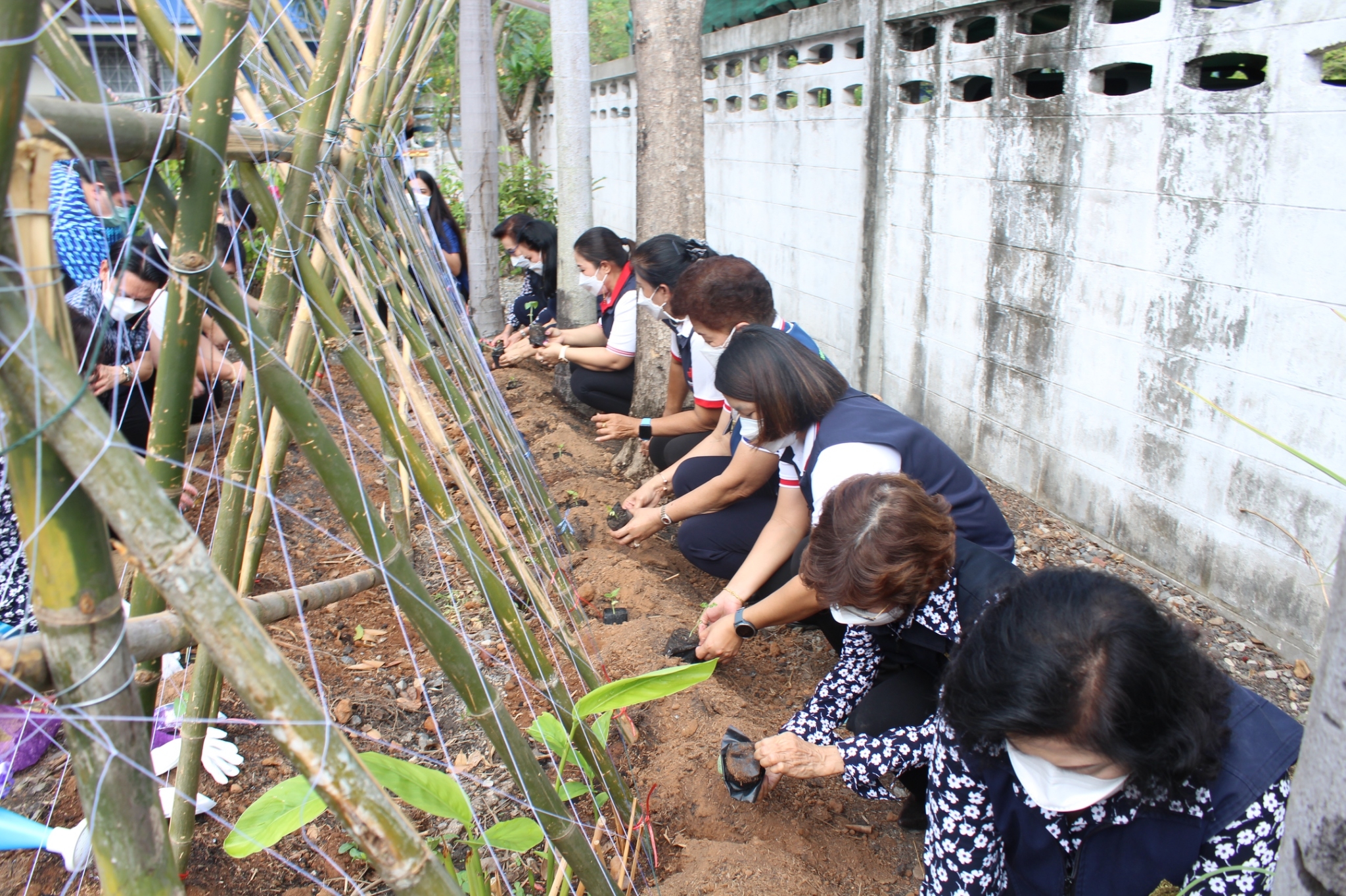 ผู้ว่าราชการจังหวัดชลบุรี เป็นประธานรับมอบเมล็ดพันธุ์ถั่วฝักยาวสีม่วง สิรินธร เบอร์1