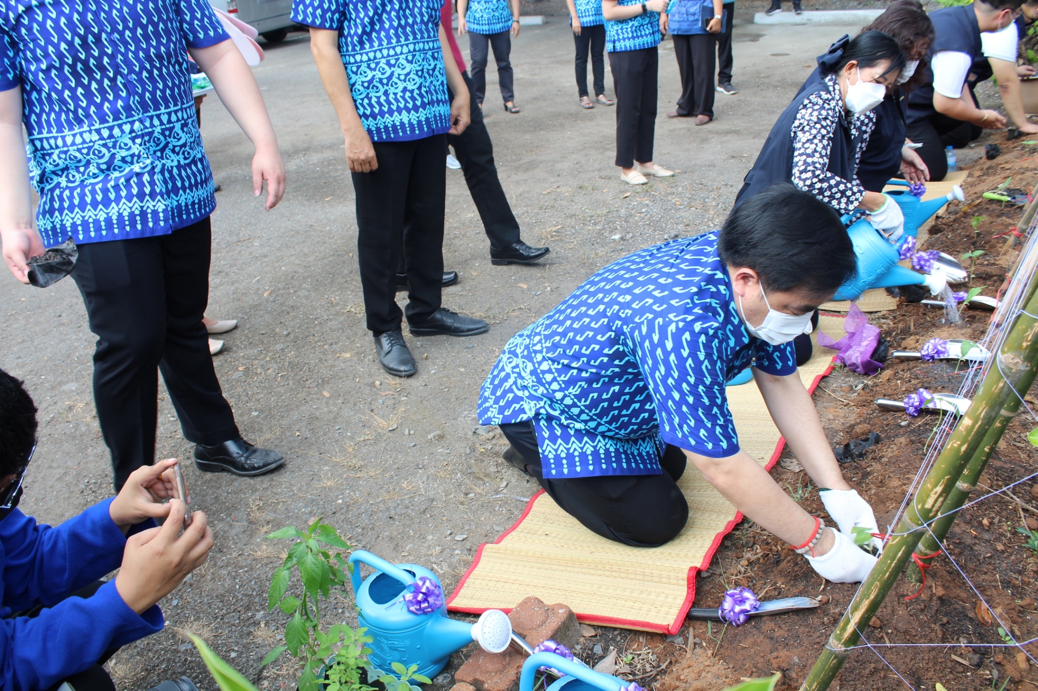 ผู้ว่าราชการจังหวัดชลบุรี เป็นประธานรับมอบเมล็ดพันธุ์ถั่วฝักยาวสีม่วง สิรินธร เบอร์1