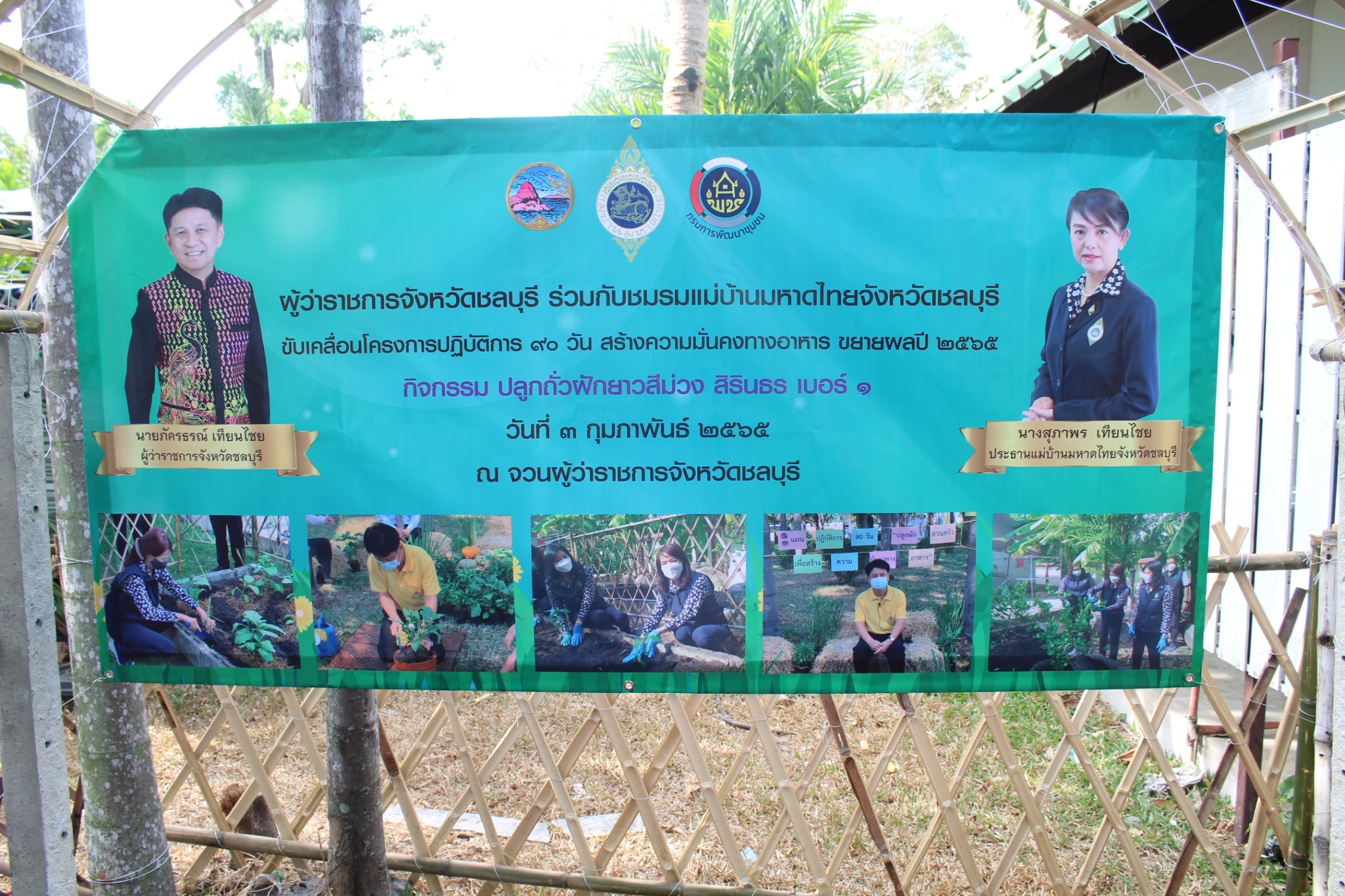 ผู้ว่าราชการจังหวัดชลบุรี เป็นประธานรับมอบเมล็ดพันธุ์ถั่วฝักยาวสีม่วง สิรินธร เบอร์1