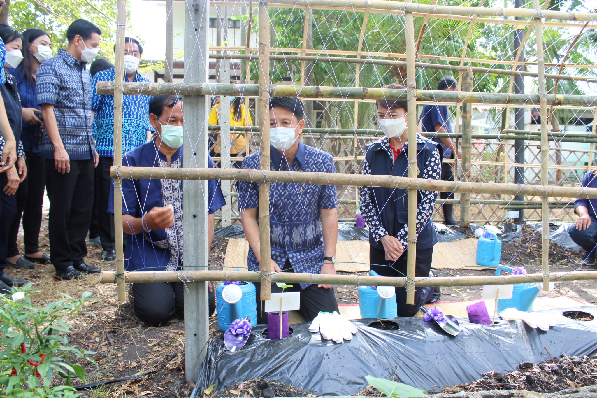 ผู้ว่าราชการจังหวัดชลบุรี เป็นประธานรับมอบเมล็ดพันธุ์ถั่วฝักยาวสีม่วง สิรินธร เบอร์1