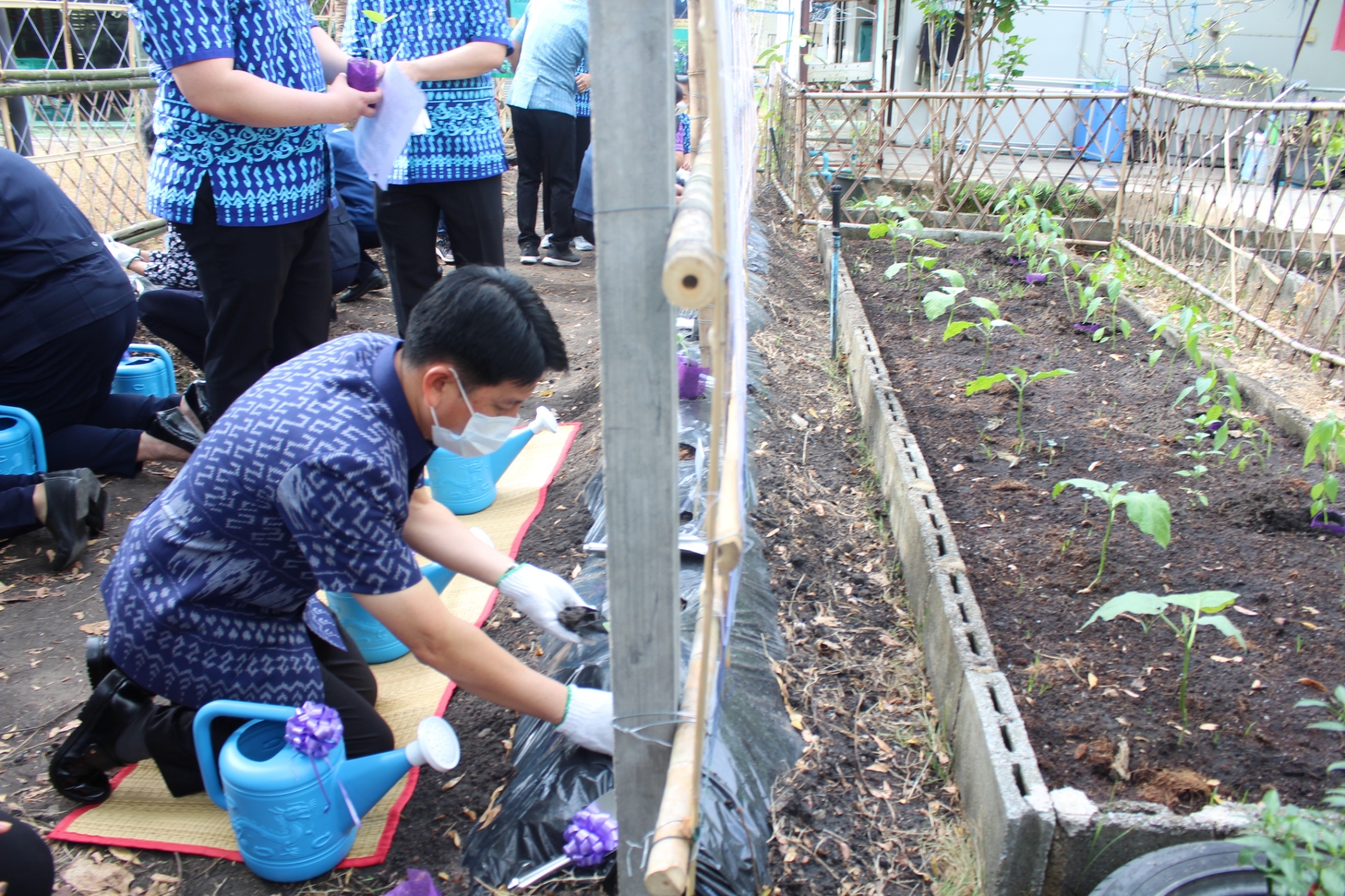 ผู้ว่าราชการจังหวัดชลบุรี เป็นประธานรับมอบเมล็ดพันธุ์ถั่วฝักยาวสีม่วง สิรินธร เบอร์1