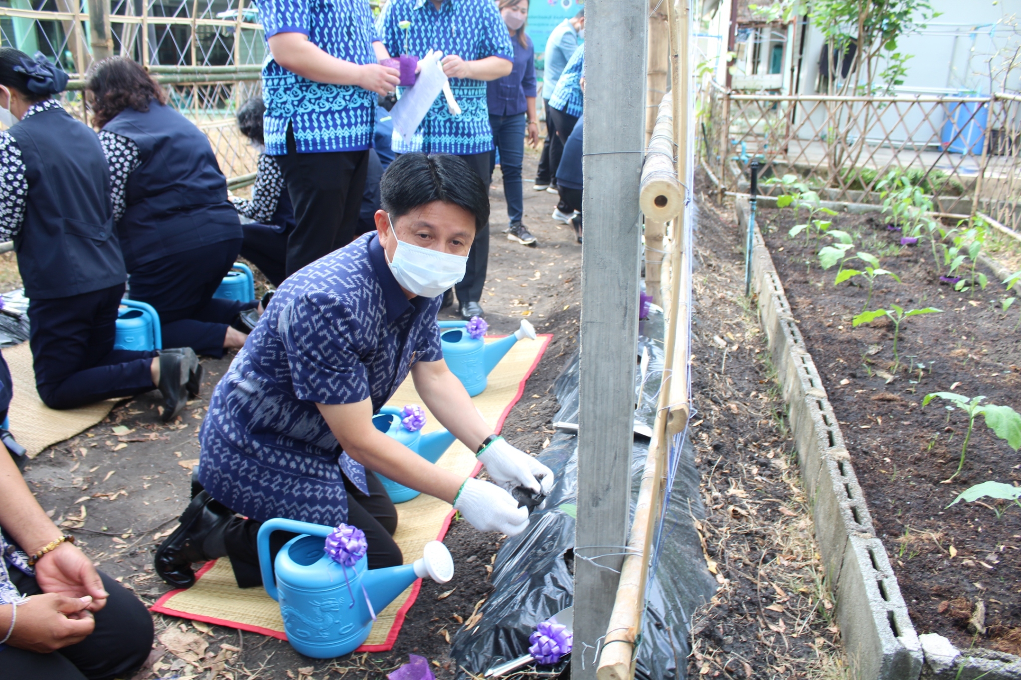 ผู้ว่าราชการจังหวัดชลบุรี เป็นประธานรับมอบเมล็ดพันธุ์ถั่วฝักยาวสีม่วง สิรินธร เบอร์1