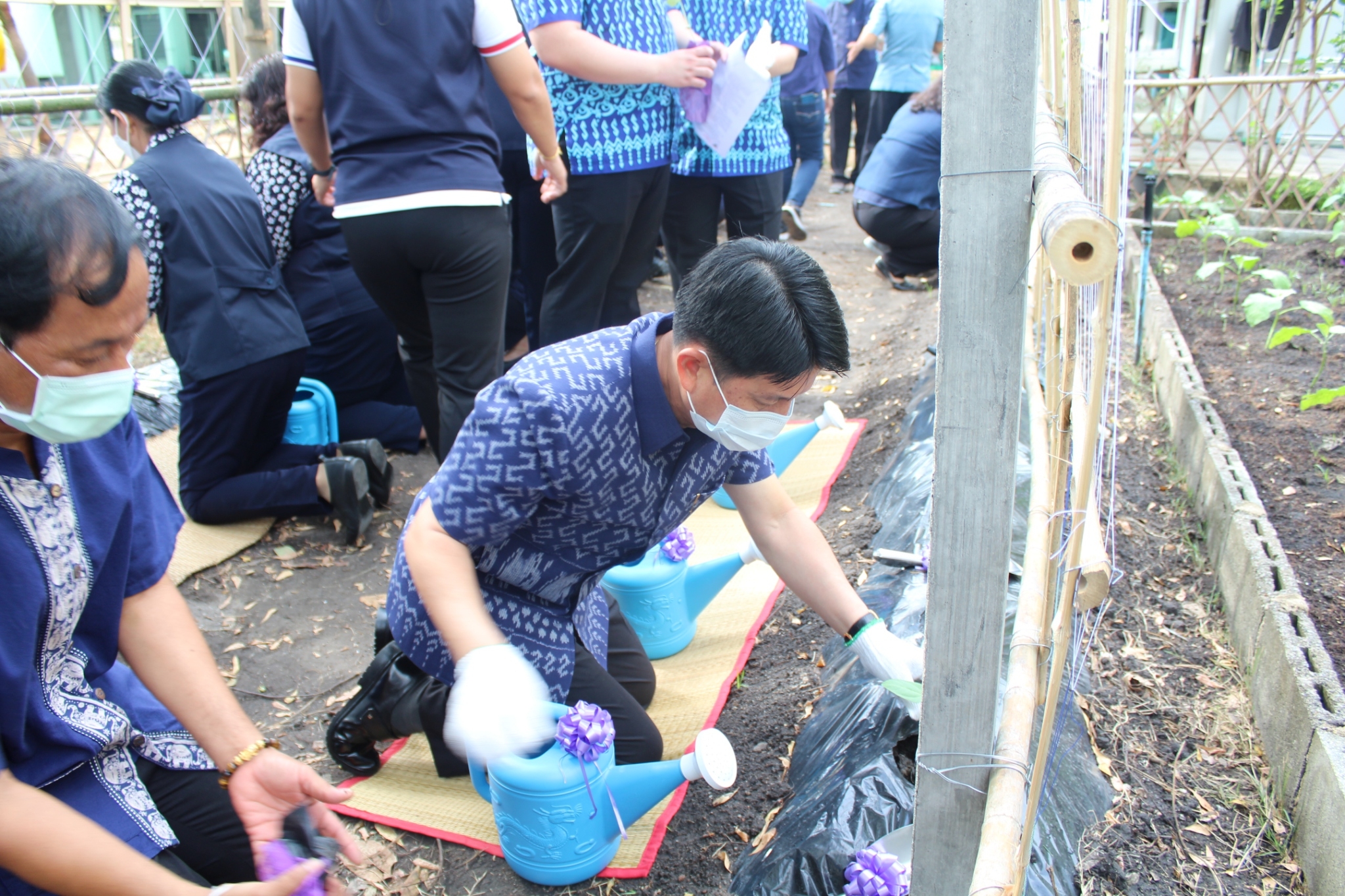 ผู้ว่าราชการจังหวัดชลบุรี เป็นประธานรับมอบเมล็ดพันธุ์ถั่วฝักยาวสีม่วง สิรินธร เบอร์1