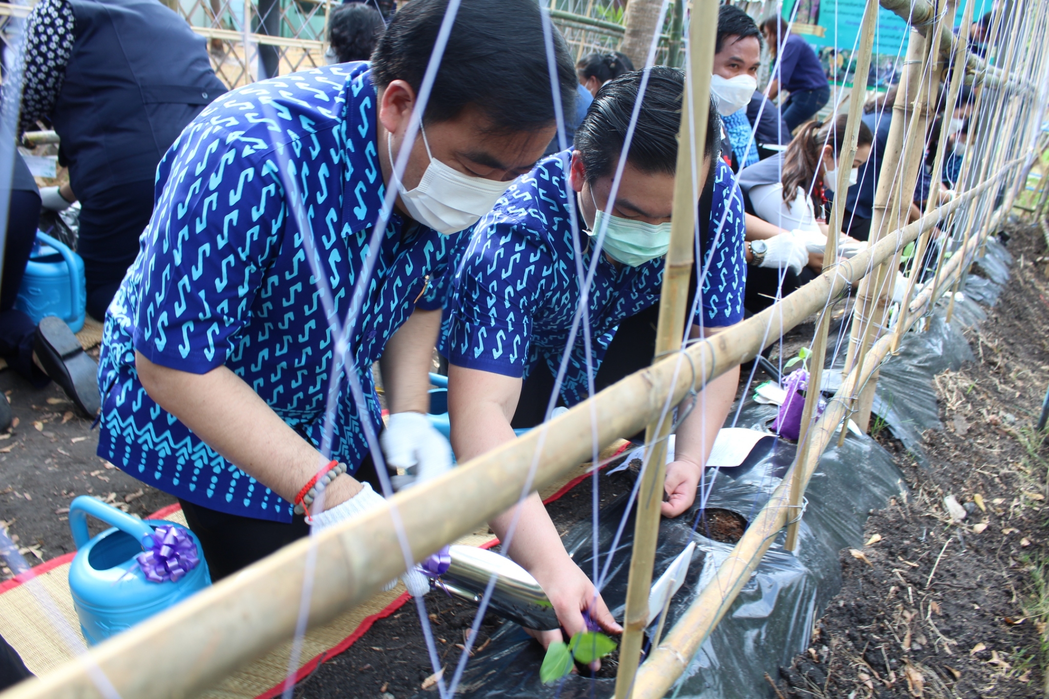 ผู้ว่าราชการจังหวัดชลบุรี เป็นประธานรับมอบเมล็ดพันธุ์ถั่วฝักยาวสีม่วง สิรินธร เบอร์1
