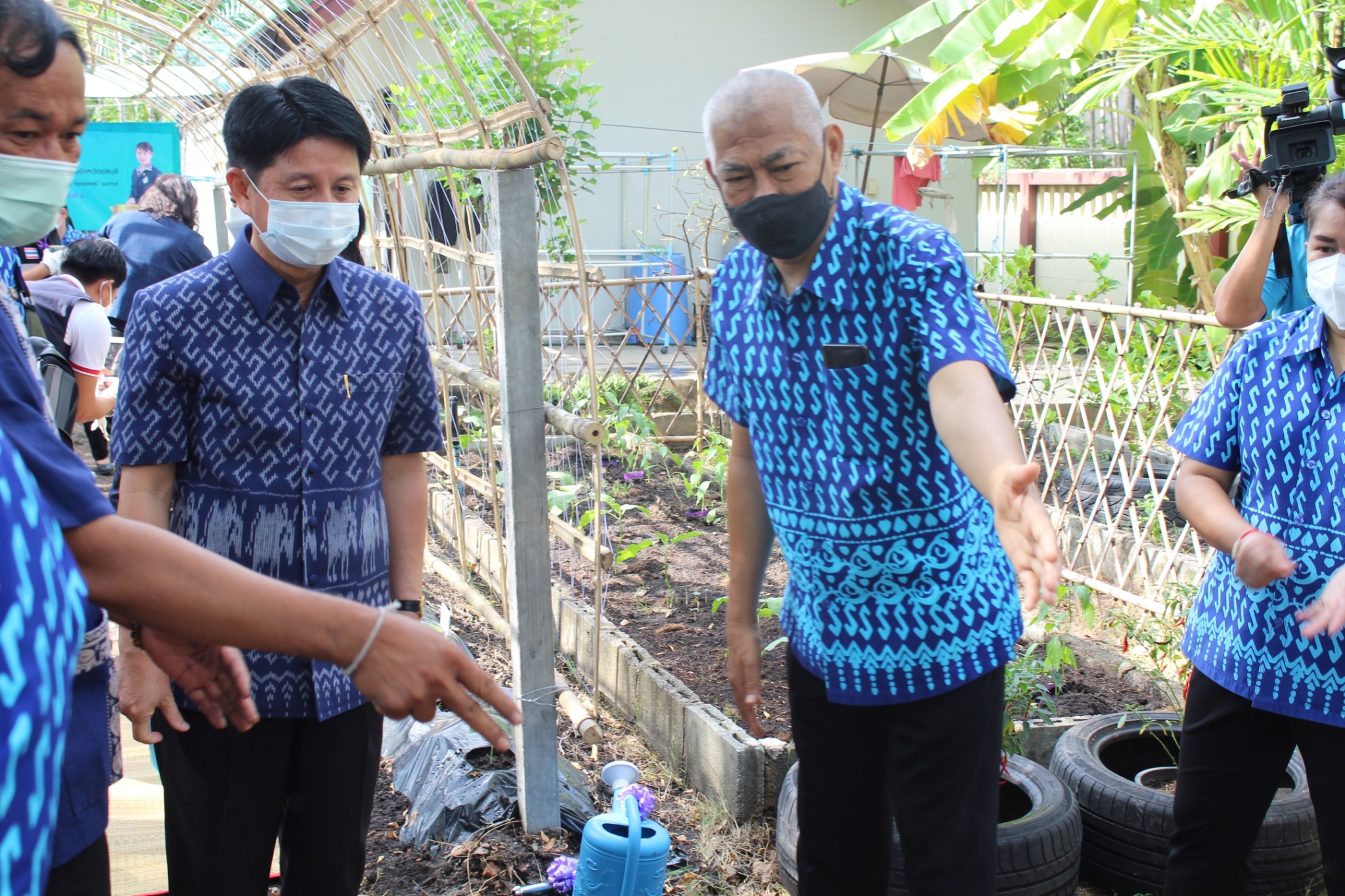 ผู้ว่าราชการจังหวัดชลบุรี เป็นประธานรับมอบเมล็ดพันธุ์ถั่วฝักยาวสีม่วง สิรินธร เบอร์1