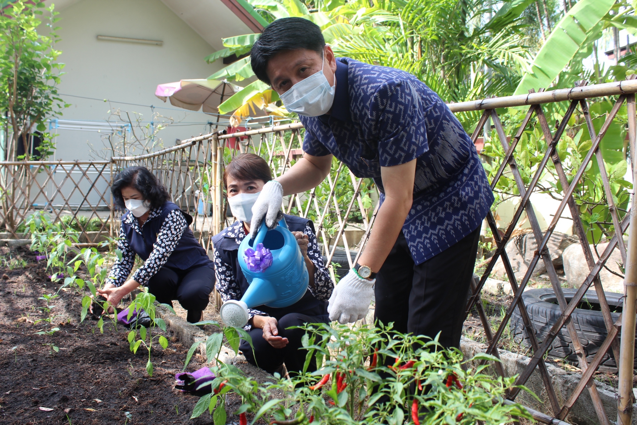 ผู้ว่าราชการจังหวัดชลบุรี เป็นประธานรับมอบเมล็ดพันธุ์ถั่วฝักยาวสีม่วง สิรินธร เบอร์1