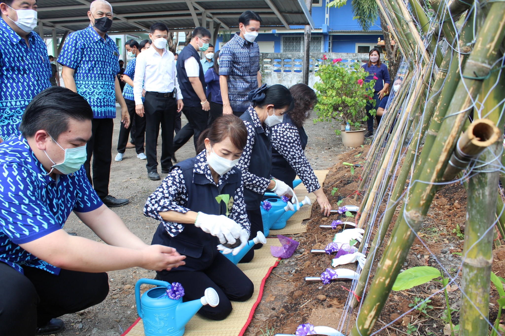 ผู้ว่าราชการจังหวัดชลบุรี เป็นประธานรับมอบเมล็ดพันธุ์ถั่วฝักยาวสีม่วง สิรินธร เบอร์1