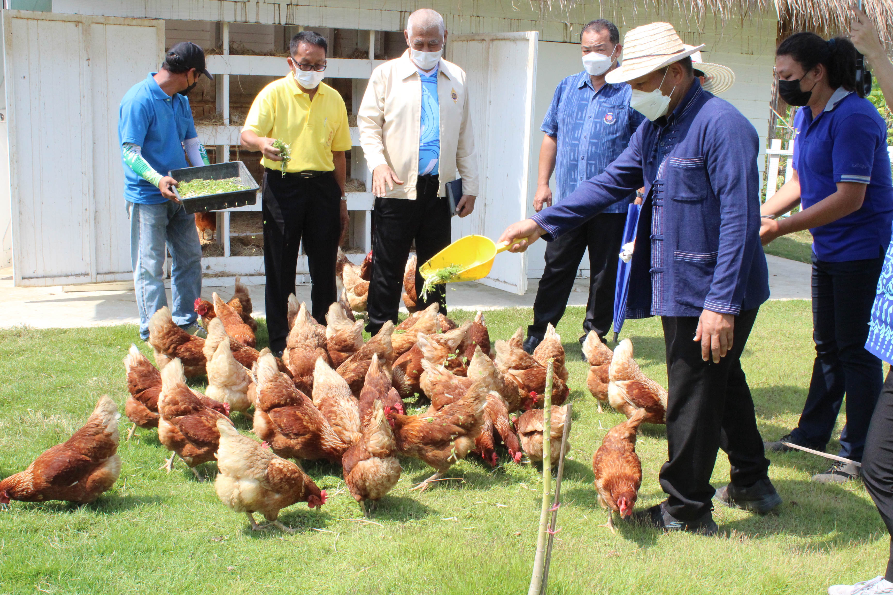รองอธิบดีกรมการพัฒนาชุมชน ลงพื้นที่ตรวจเยี่ยมผลการดำเนินงานโครงการ “โคก หนอง นา โมเดล”