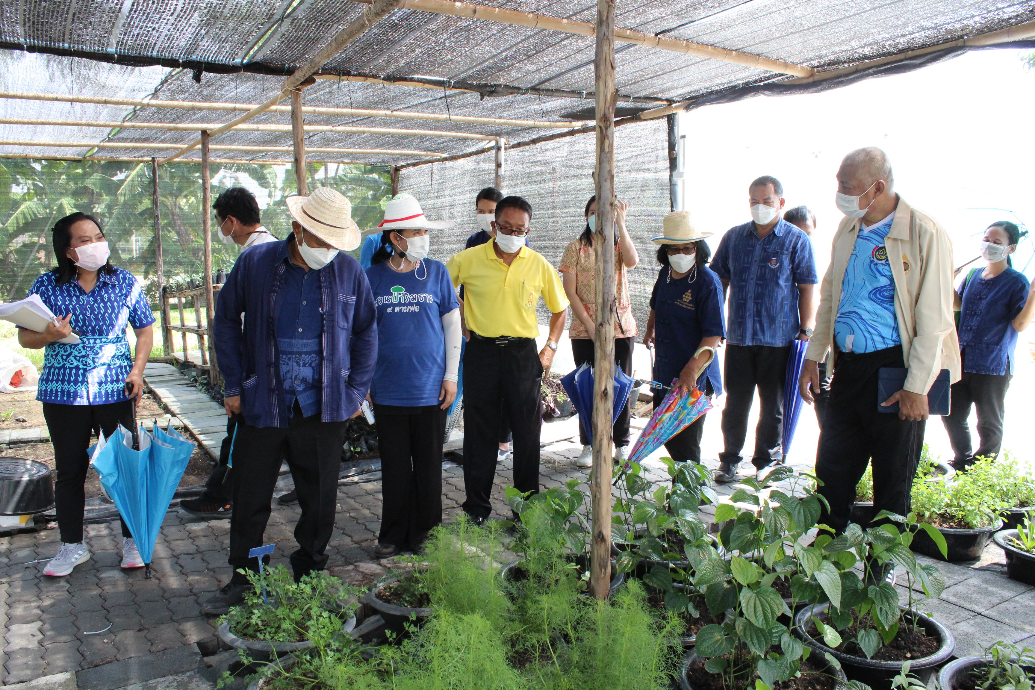 รองอธิบดีกรมการพัฒนาชุมชน ลงพื้นที่ตรวจเยี่ยมผลการดำเนินงานโครงการ “โคก หนอง นา โมเดล”
