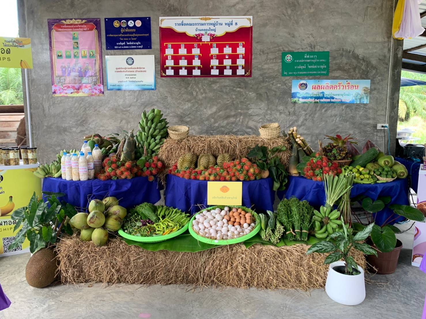 จังหวัดชลบุรี ลงพื้นที่คัดสรรกิจกรรมพัฒนาชุมชนดีเด่นระดับจังหวัด ประจำปี 2565