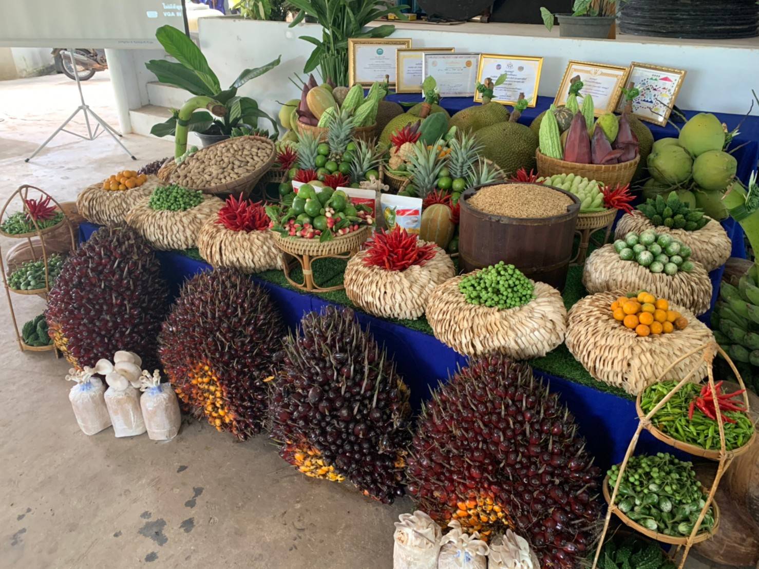 จังหวัดชลบุรี ลงพื้นที่คัดสรรกิจกรรมพัฒนาชุมชนดีเด่นระดับจังหวัด ประจำปี 2565