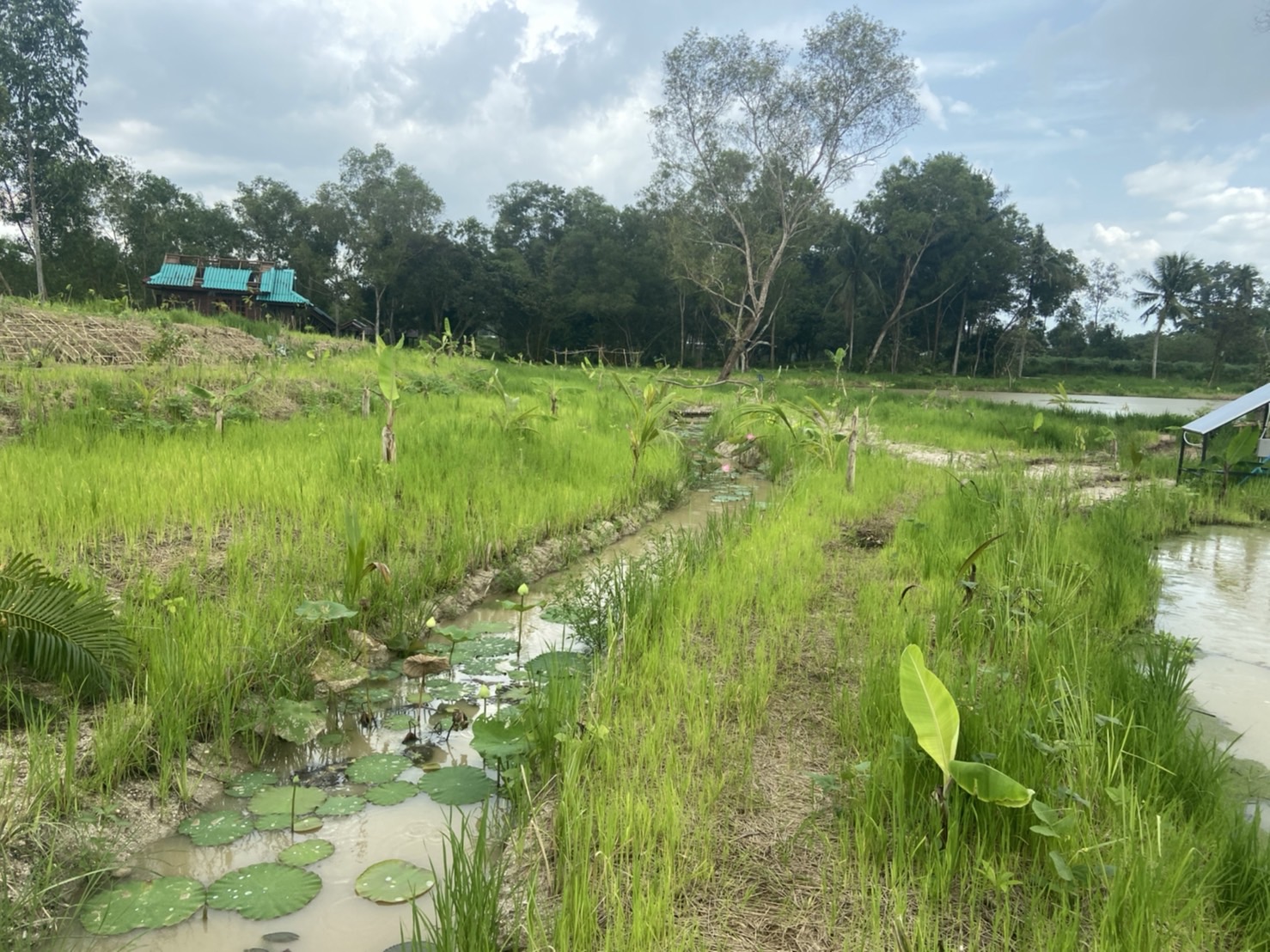 ผู้ตรวจราชการกรมลงพื้นที่ติดตามผลการดำเนินงาน “โคก หนอง นา โมเดล”