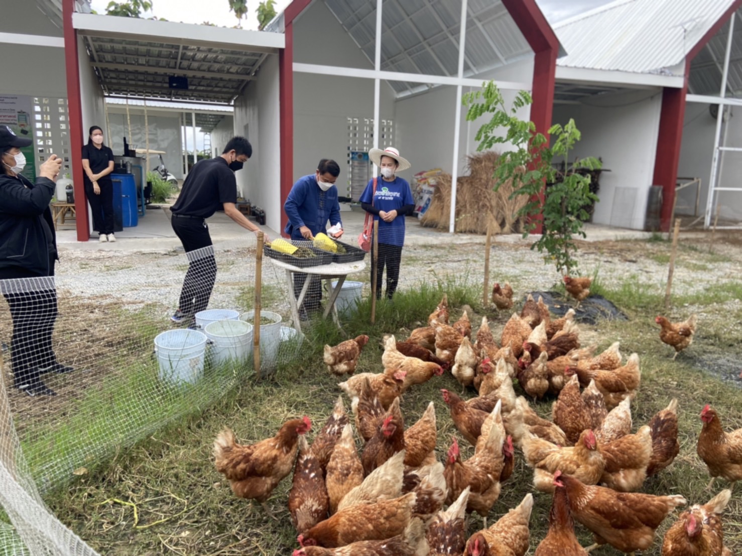 ผู้ตรวจราชการกรมลงพื้นที่ติดตามผลการดำเนินงาน “โคก หนอง นา โมเดล”