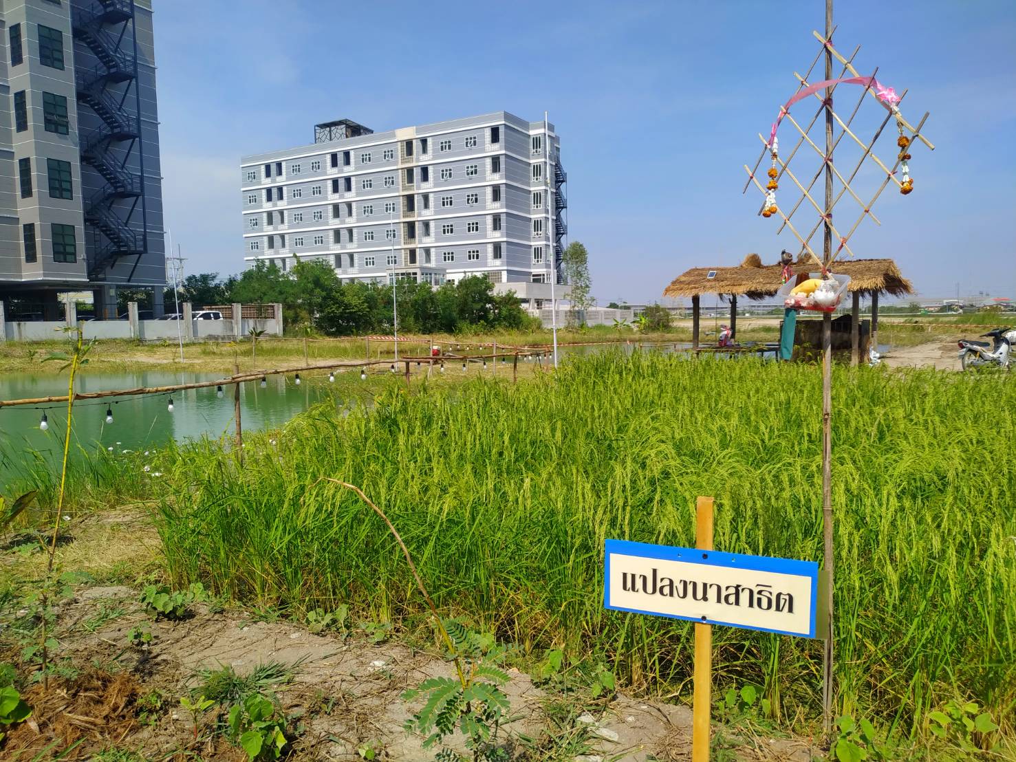 พช.ชลบุรี จัดพิธีเปิดศูนย์การเรียนรู้ทฤษฎีใหม่รูปแบบ “โคก หนอง นา” และงานวันลอยกระทง ประจำปี 2565