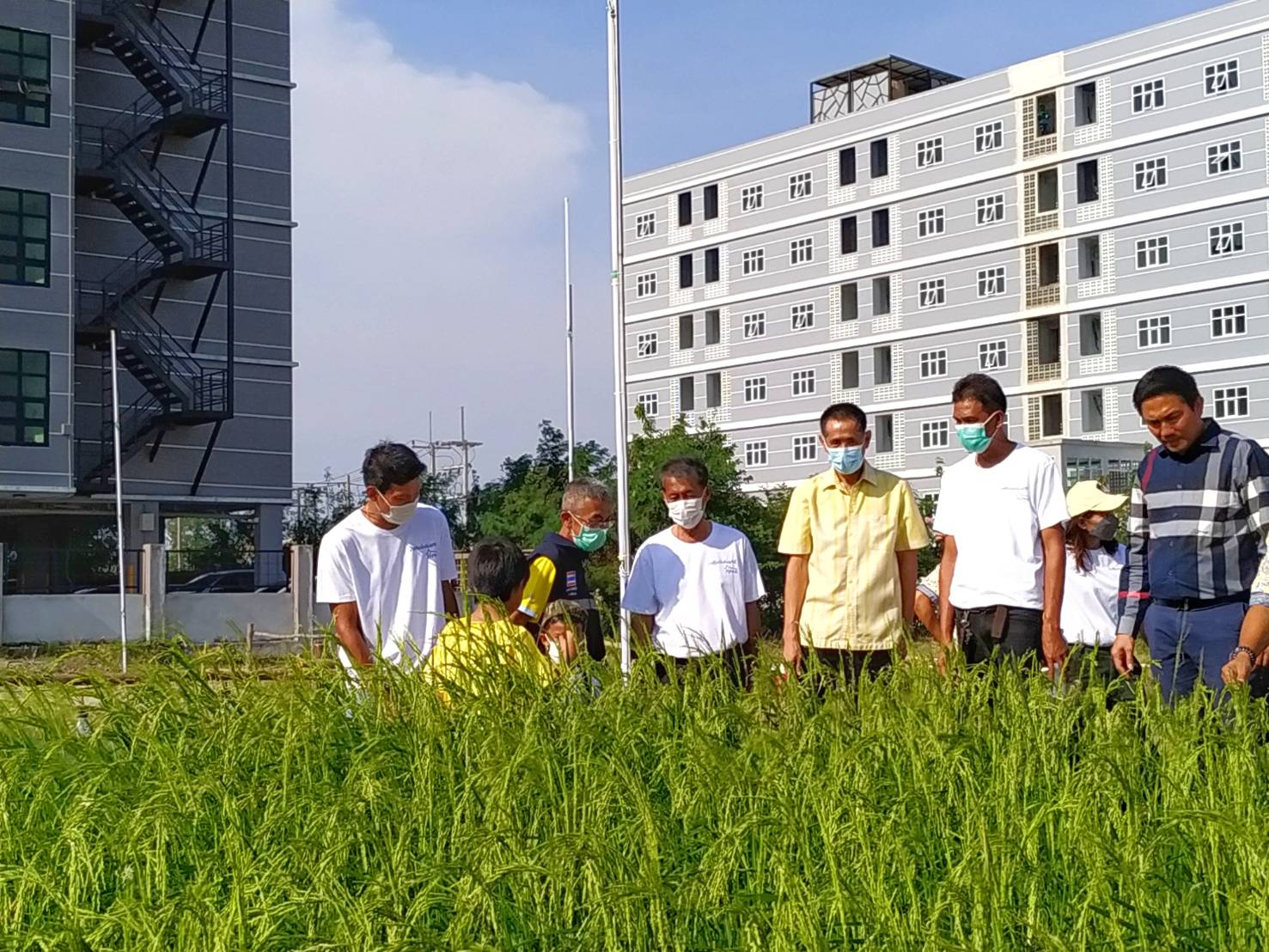 พช.ชลบุรี จัดพิธีเปิดศูนย์การเรียนรู้ทฤษฎีใหม่รูปแบบ “โคก หนอง นา” และงานวันลอยกระทง ประจำปี 2565